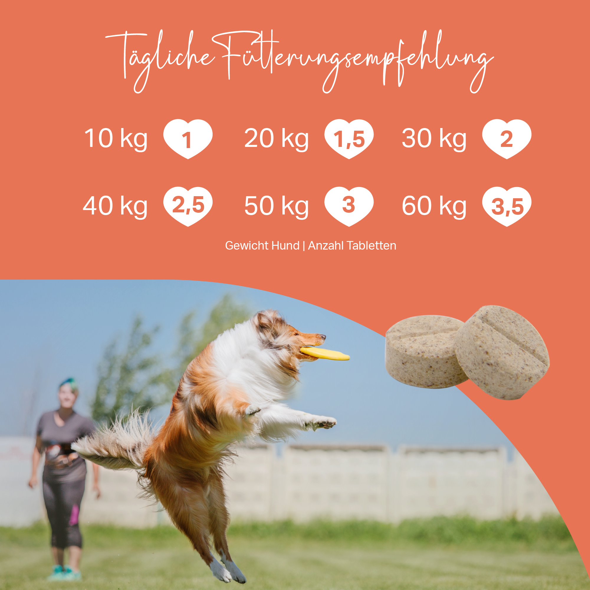 Tabletten für Hunde zur Unterstützung der Knochen und Gelenke Tabletten für Hunde zur Unterstützung der Knochen und Gelenke