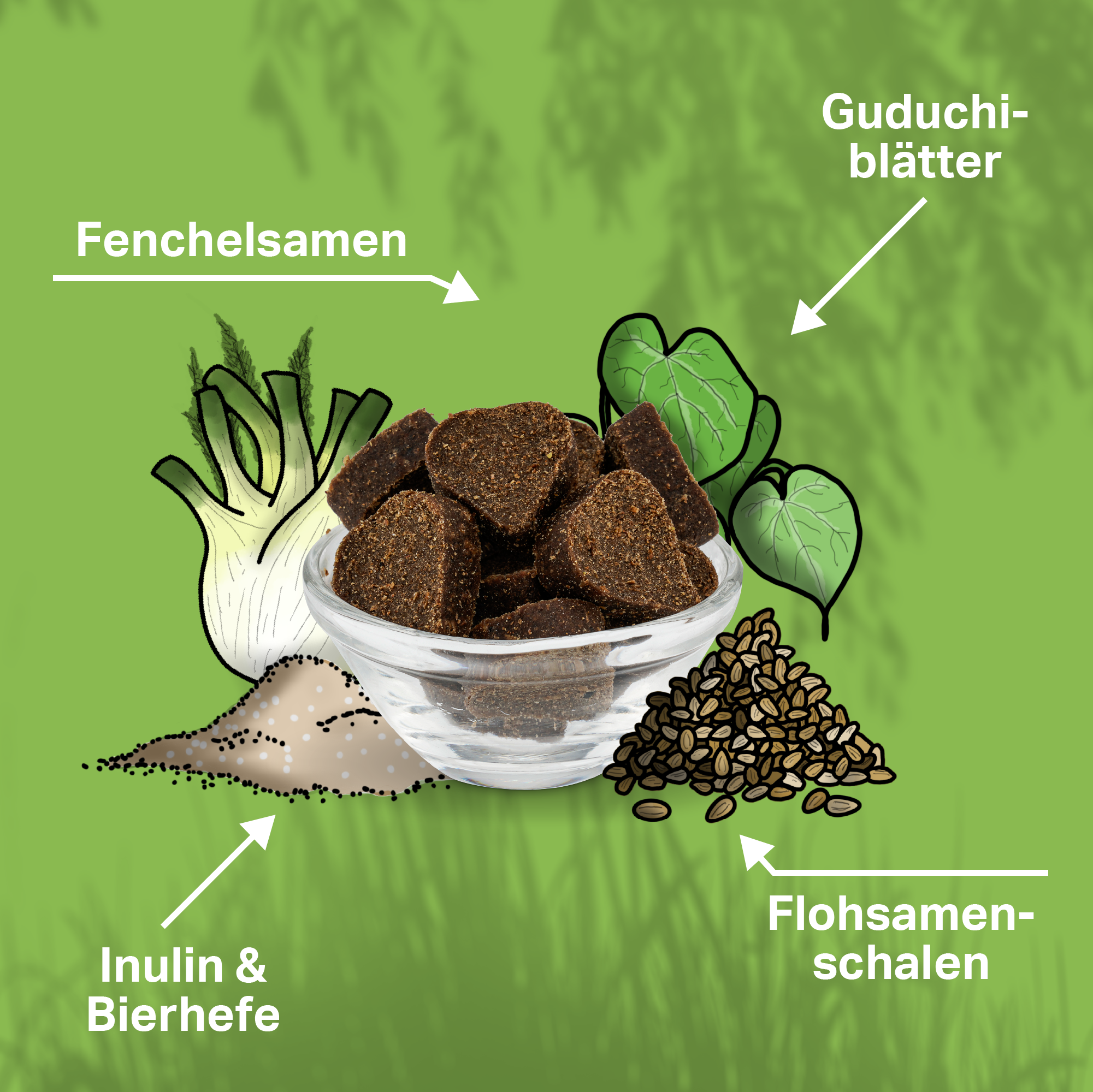 Hundemagen unterstützen mit Fenchel, Guduchi, Inulin & Bierhefe und Flohsamenschalen Hundemagen unterstützen mit Fenchel, Guduchi, Inulin & Bierhefe und Flohsamenschalen