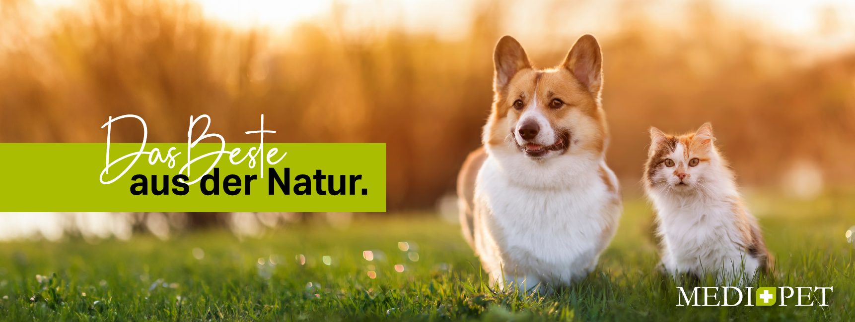 Corgi und Katze laufen nebeneinander über eine grüne Wiese bei warmem Abendlicht; links Schriftbanner "Das Beste aus der Natur.", Medipet-Logo unten rechts; freundliche Outdoor-Markeindruck.