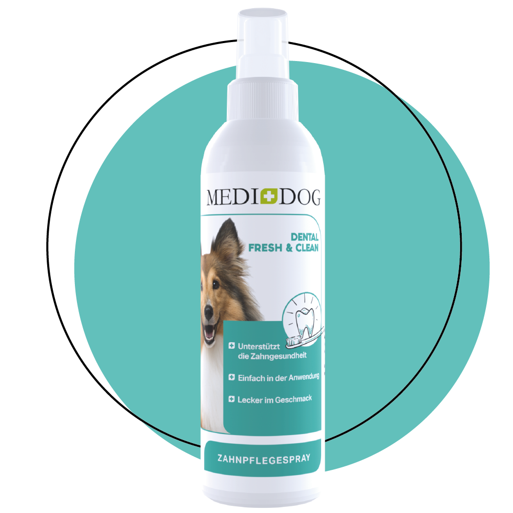 MEDIDOG Dental Fresh & Clean mit Kalzium und Pfefferminze zur Unterstützung der Maulhygiene MEDIDOG Dental Fresh & Clean mit Kalzium und Pfefferminze zur Unterstützung der Maulhygiene