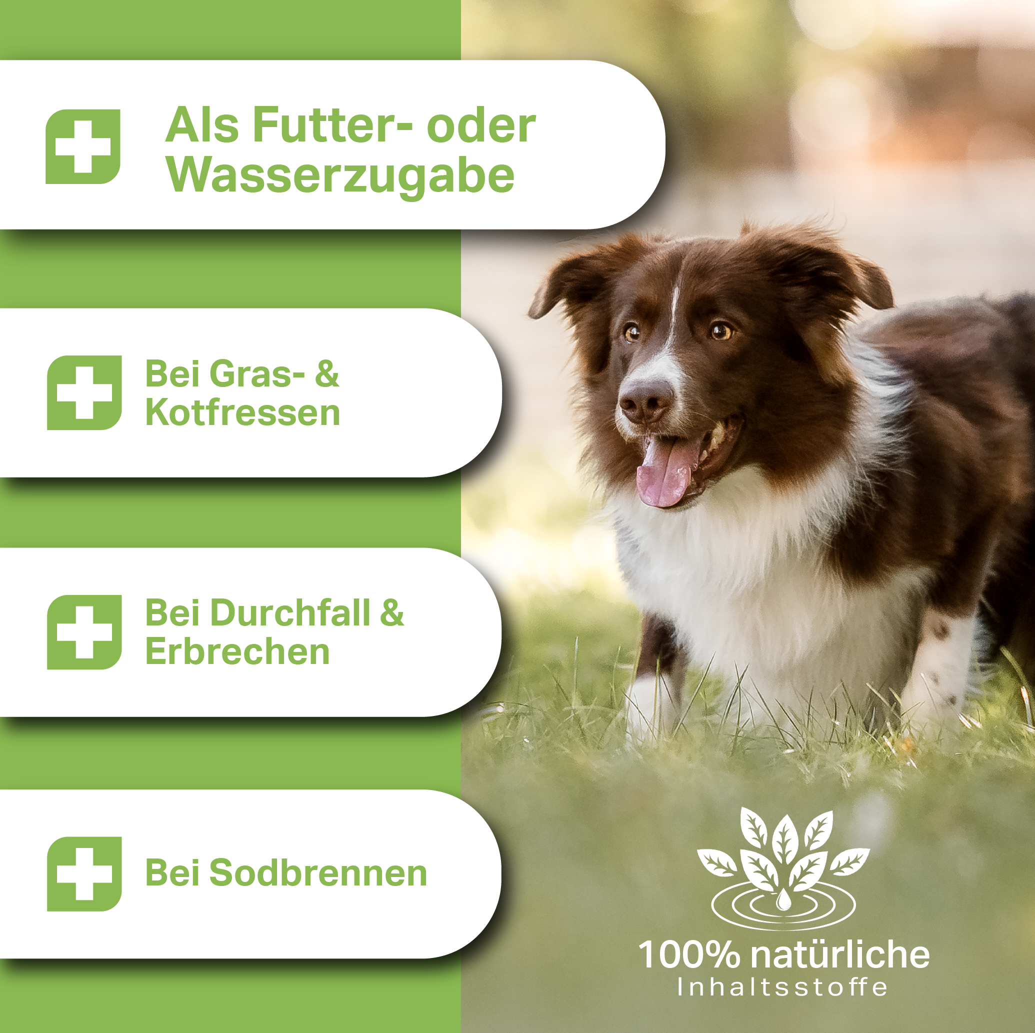 Hunde Probiotika zur Unterstützung bei Grasfressen, Kotfressen, Durchfall, Erbrechen, Sodbrennen Hunde Probiotika zur Unterstützung bei Grasfressen, Kotfressen, Durchfall, Erbrechen, Sodbrennen