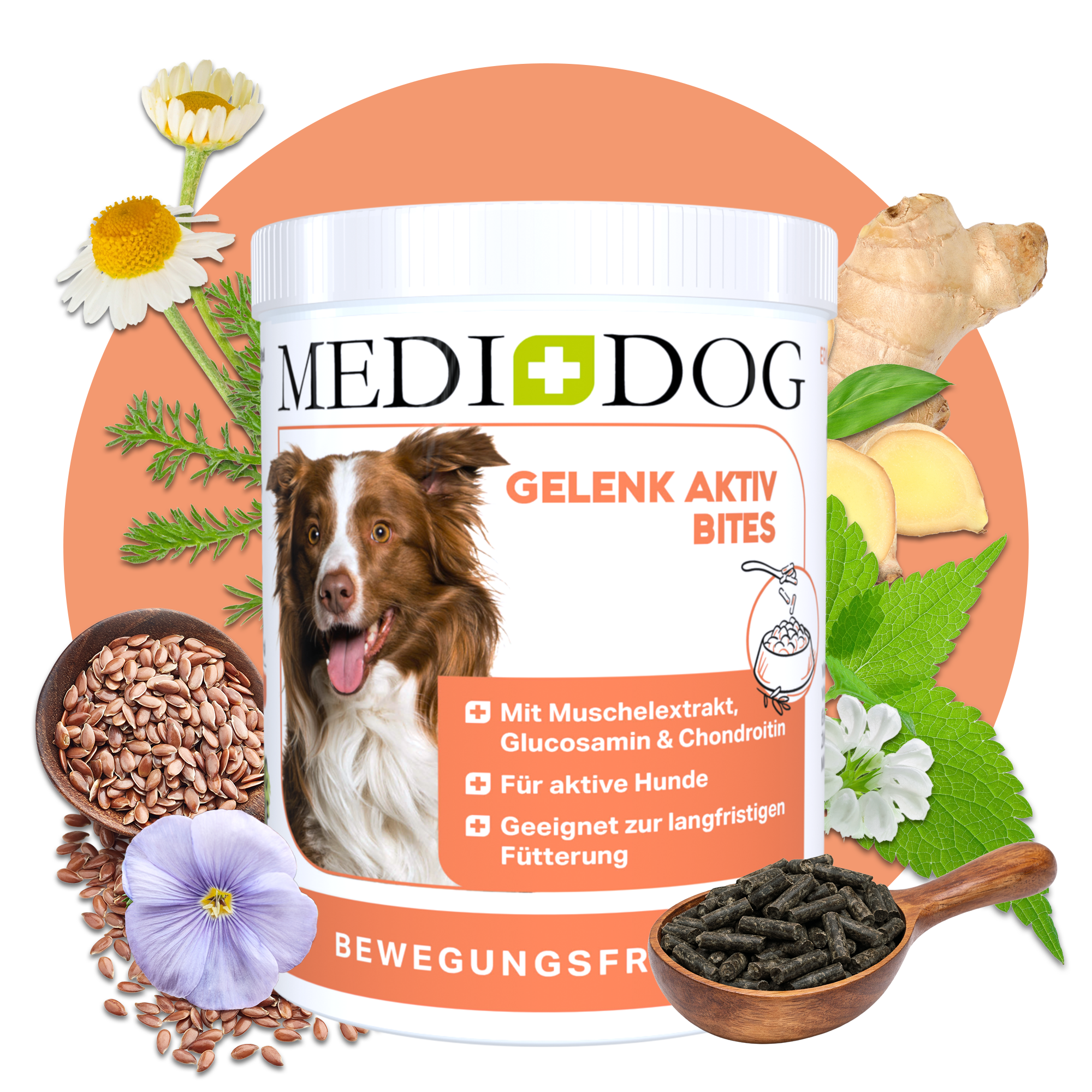 MEDIDOG Gelenk Aktiv Bites 