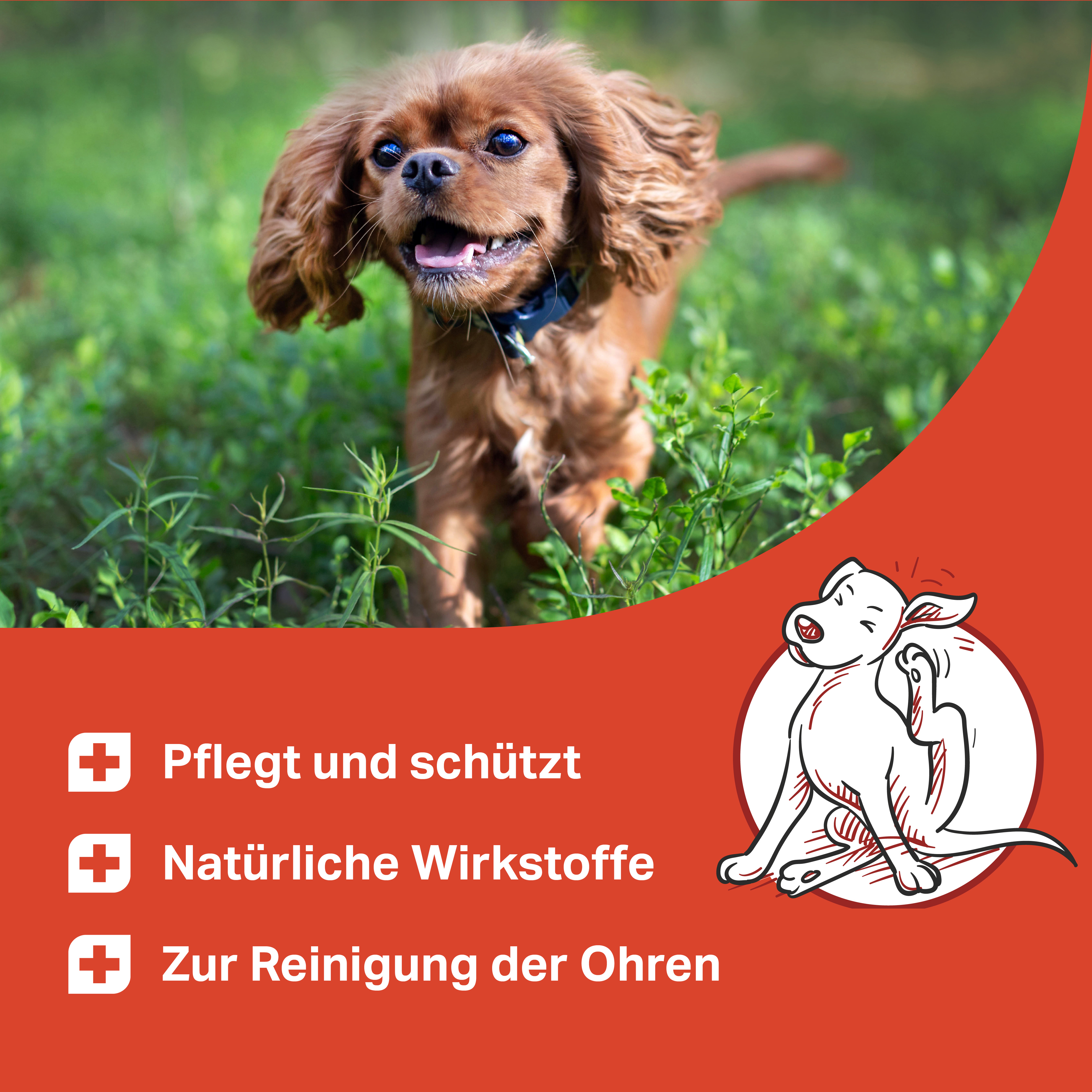 Pflegt und schützt mit natürlichen Wirkstoffen Pflegt und schützt mit natürlichen Wirkstoffen