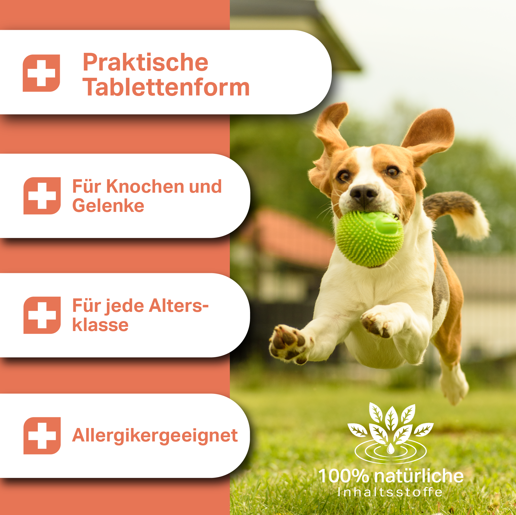 Allergikergeeignete Tabletten für Hunde jeden Alters, besonders ergiebi Allergikergeeignete Tabletten für Hunde jeden Alters, besonders ergiebi