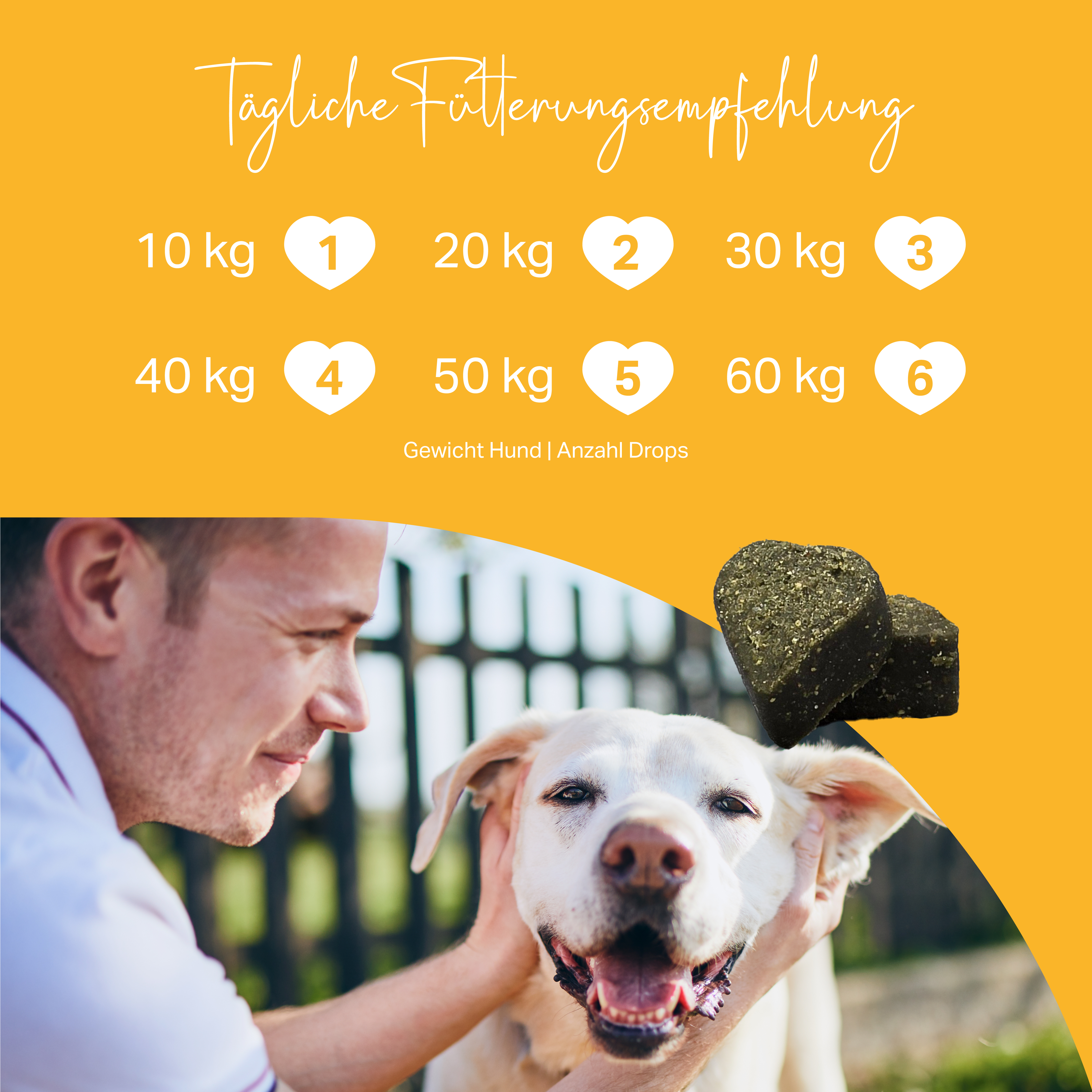 Ergiebige Funktionsdrops für Hunde, nur 1 Drops am Tag je 10 kg Körpergewicht Ergiebige Funktionsdrops für Hunde, nur 1 Drops am Tag je 10 kg Körpergewicht