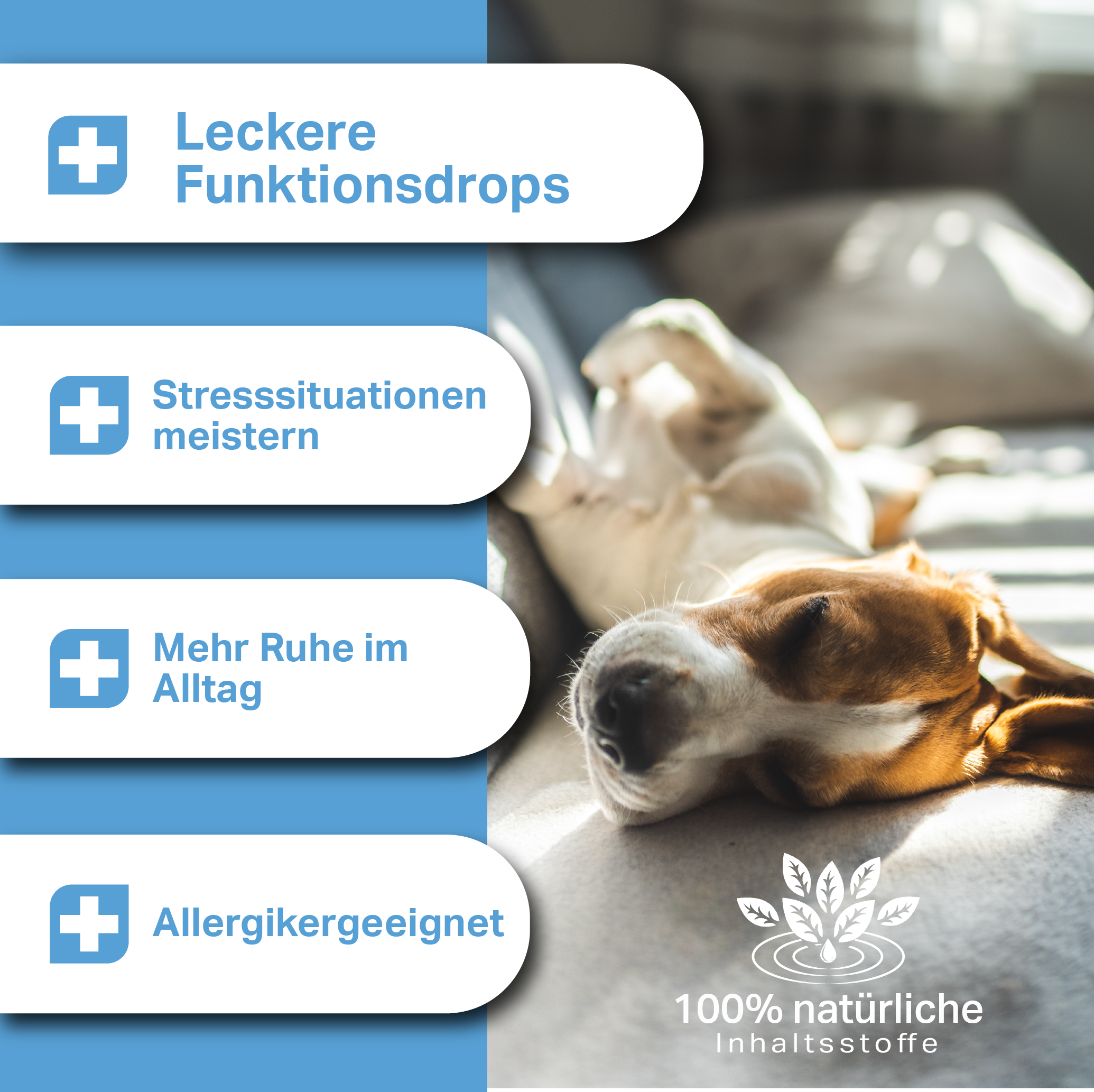 Leckere Funktionsdrops für Hunde für Stresssituation und mehr Ruhe im Alltag Leckere Funktionsdrops für Hunde für Stresssituation und mehr Ruhe im Alltag