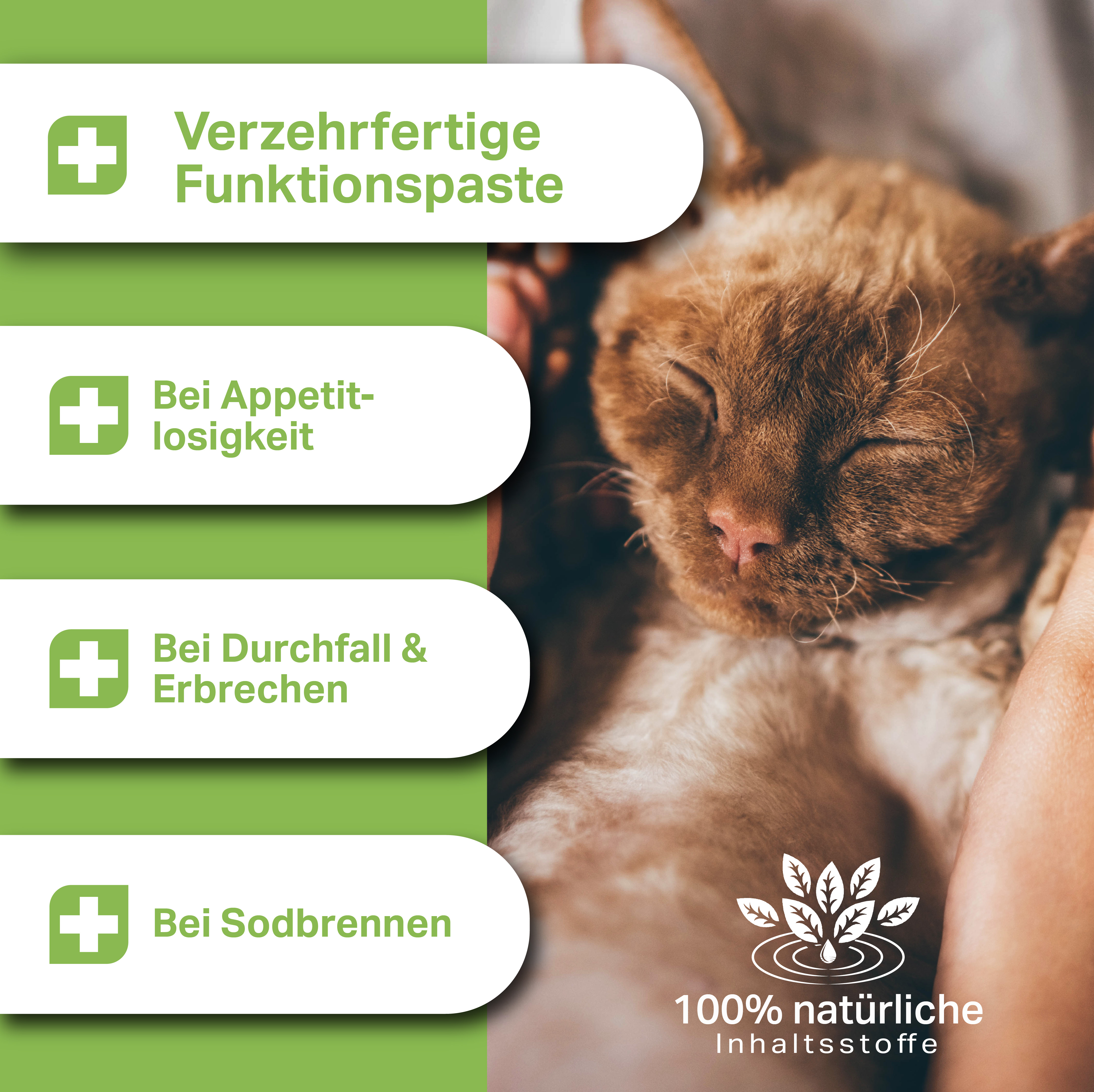 Verzehrfertige Funktionspaste für Katzen bei Appetitlosigkeit, Durchfall, Erbrechen oder Sodbrennen Verzehrfertige Funktionspaste für Katzen bei Appetitlosigkeit, Durchfall, Erbrechen oder Sodbrennen
