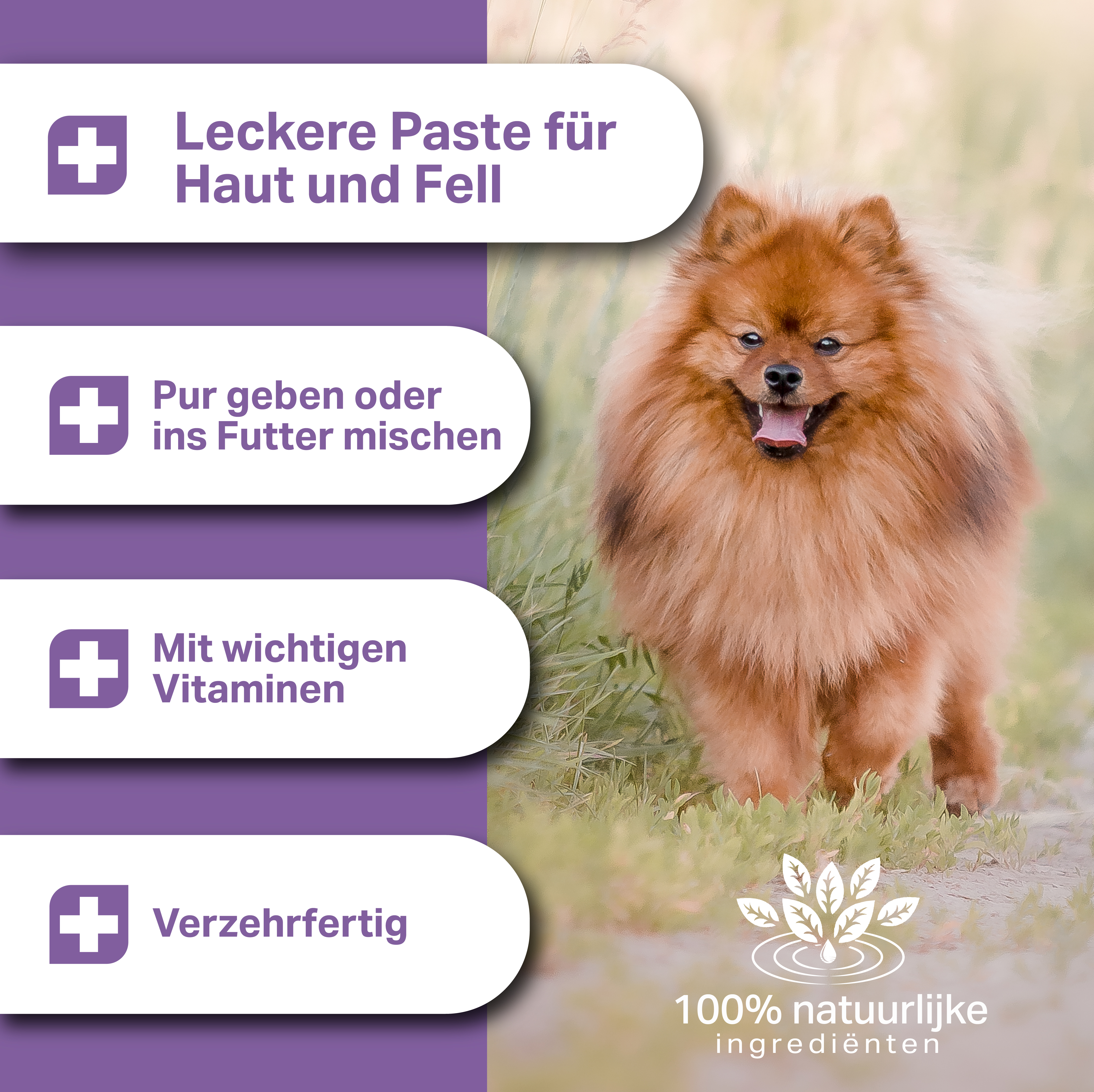MEDIDOG Haut- & Fellglück Paste MEDIDOG Haut- & Fellglück Paste