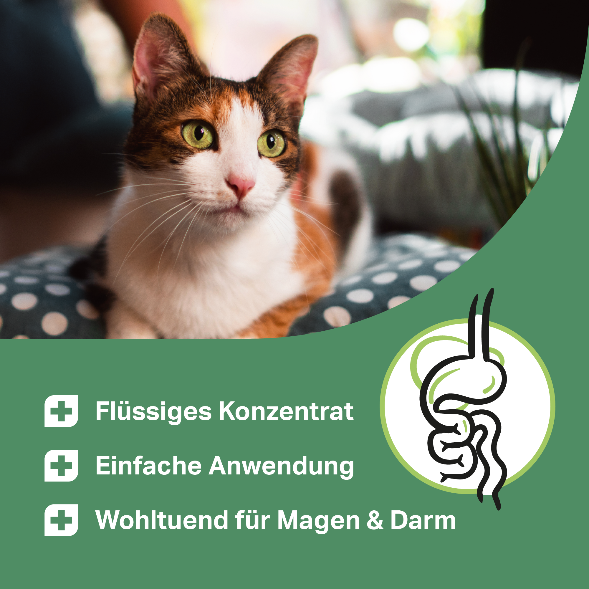 Flüssiges Moorkonzentrat für Katzen, wohltuend für Magen & Darm Flüssiges Moorkonzentrat für Katzen, wohltuend für Magen & Darm