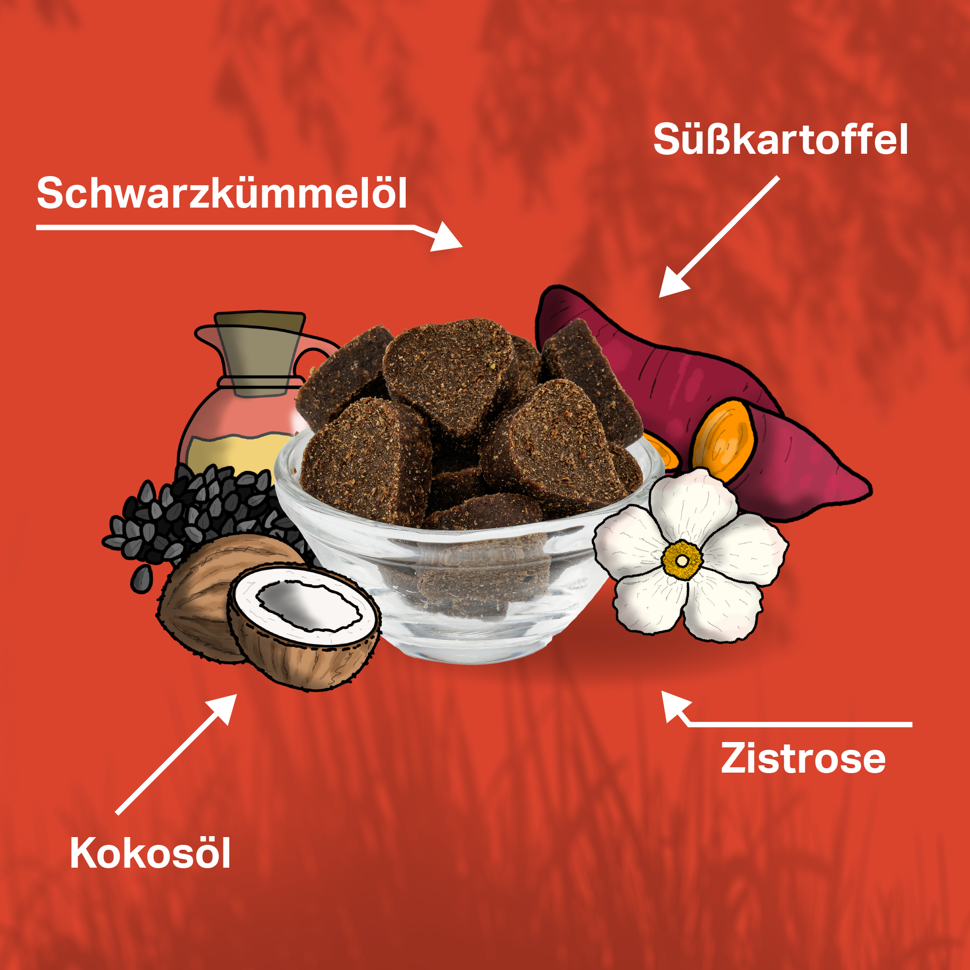 Kaltgepresster Hundesnack mit Schwarzkümmelöl, Kokosöl und Zistrose Kaltgepresster Hundesnack mit Schwarzkümmelöl, Kokosöl und Zistrose