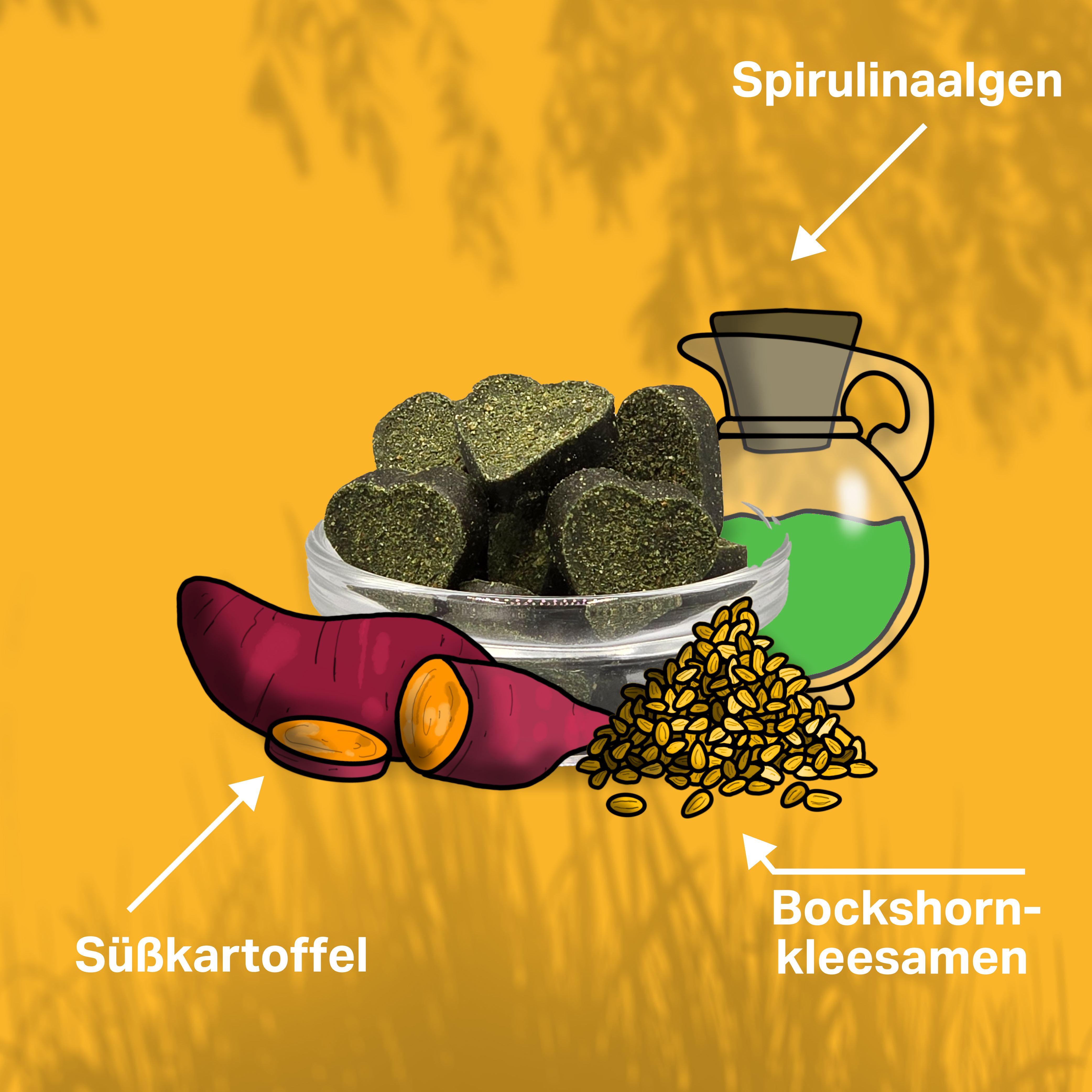 Spirulina und Bockshornkleesamen zur Unterstützung des ganzen Organismus von Hunden Spirulina und Bockshornkleesamen zur Unterstützung des ganzen Organismus von Hunden