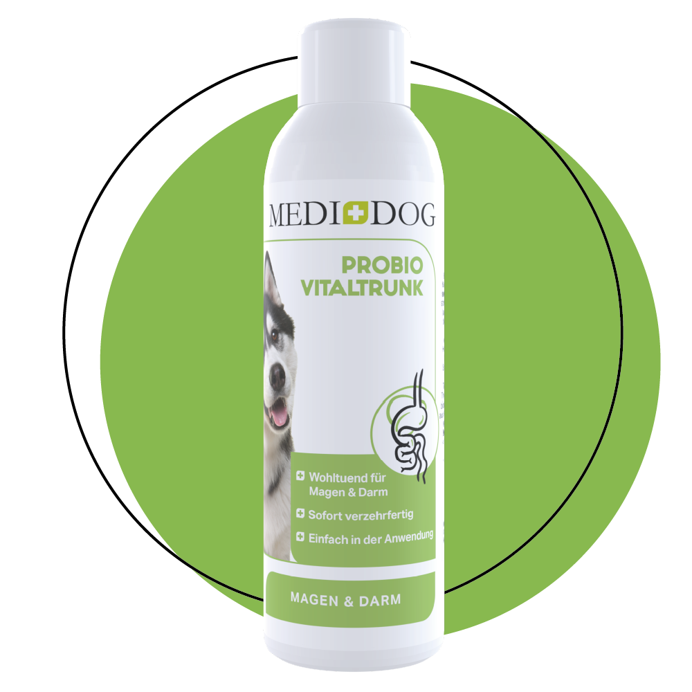MEDIDOG Probio Vitaltrunk mit fermentierten Kräuter für den Hundemagen MEDIDOG Probio Vitaltrunk mit fermentierten Kräuter für den Hundemagen