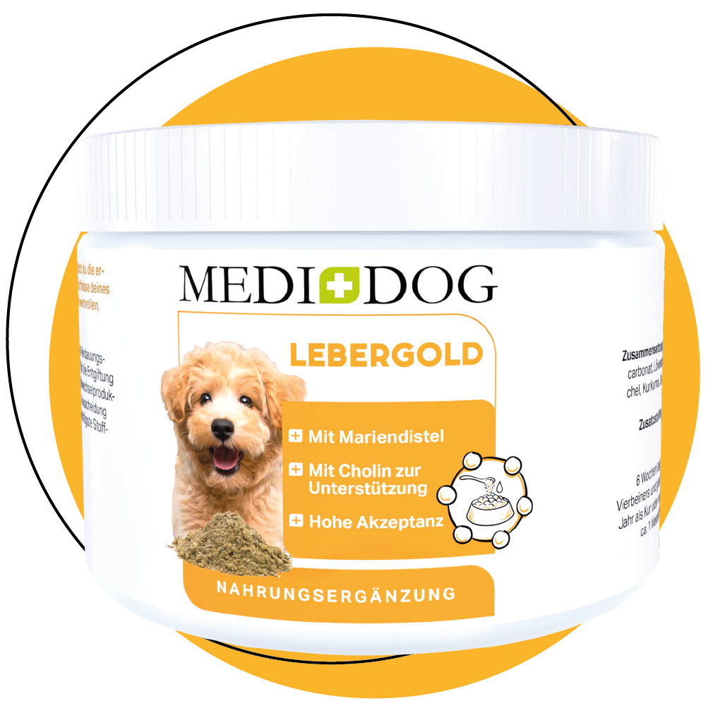 MEDIDOG Lebergold zur Unterstützung der Leber bei Hunden MEDIDOG Lebergold zur Unterstützung der Leber bei Hunden