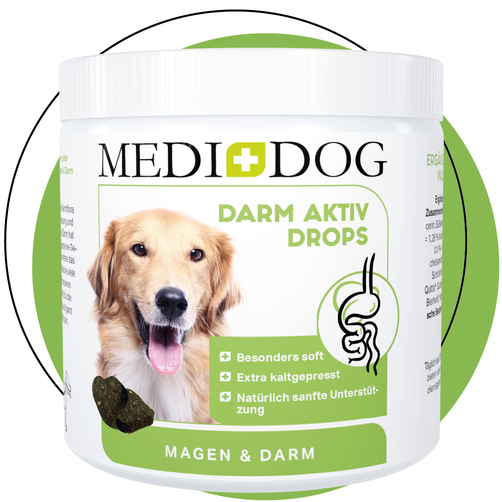 MEDIDOG Darm Aktiv Drops zur Harmonisierung von Magen & Darm bei Hunden MEDIDOG Darm Aktiv Drops zur Harmonisierung von Magen & Darm bei Hunden