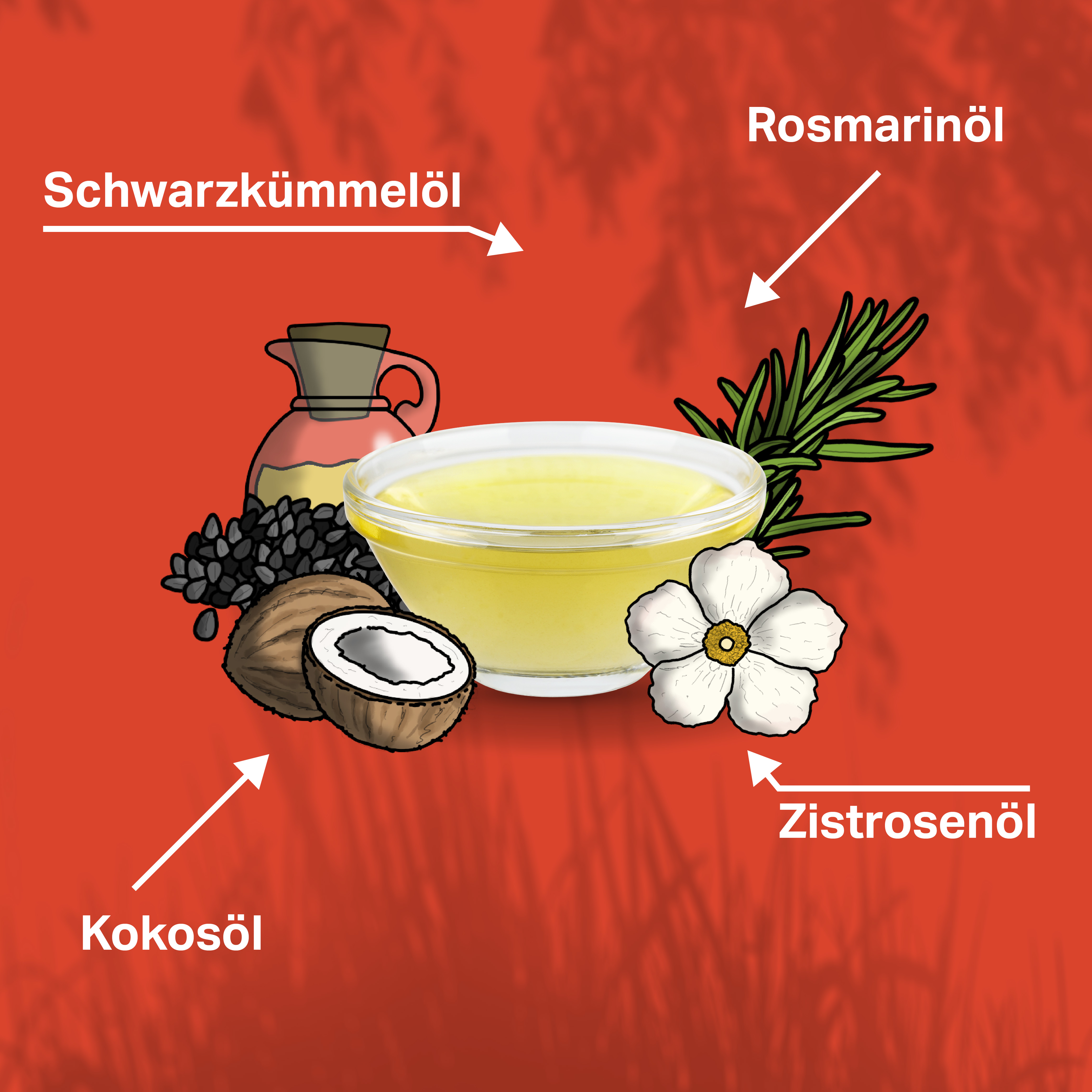 Schwarzkümmelöl und Zistrosenöl zum Schutz vor Zecken bei Hunden Schwarzkümmelöl und Zistrosenöl zum Schutz vor Zecken bei Hunden