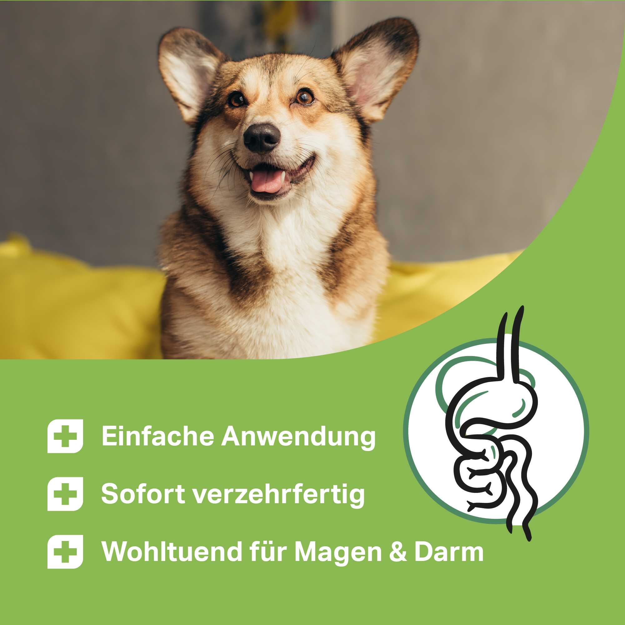 Wohltuend für Magen & Darm von Hunden, einfach in der Anwendung und sofort verzehrfertig Wohltuend für Magen & Darm von Hunden, einfach in der Anwendung und sofort verzehrfertig