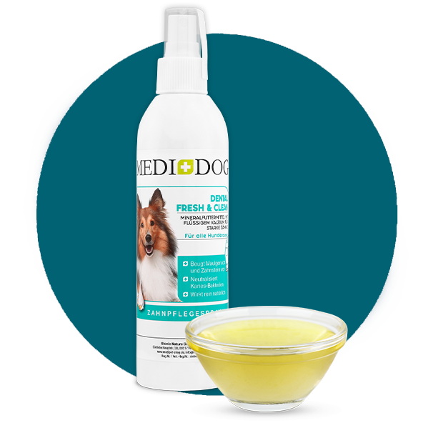 Medidog Dental Fresh & Clean MHD 10/23