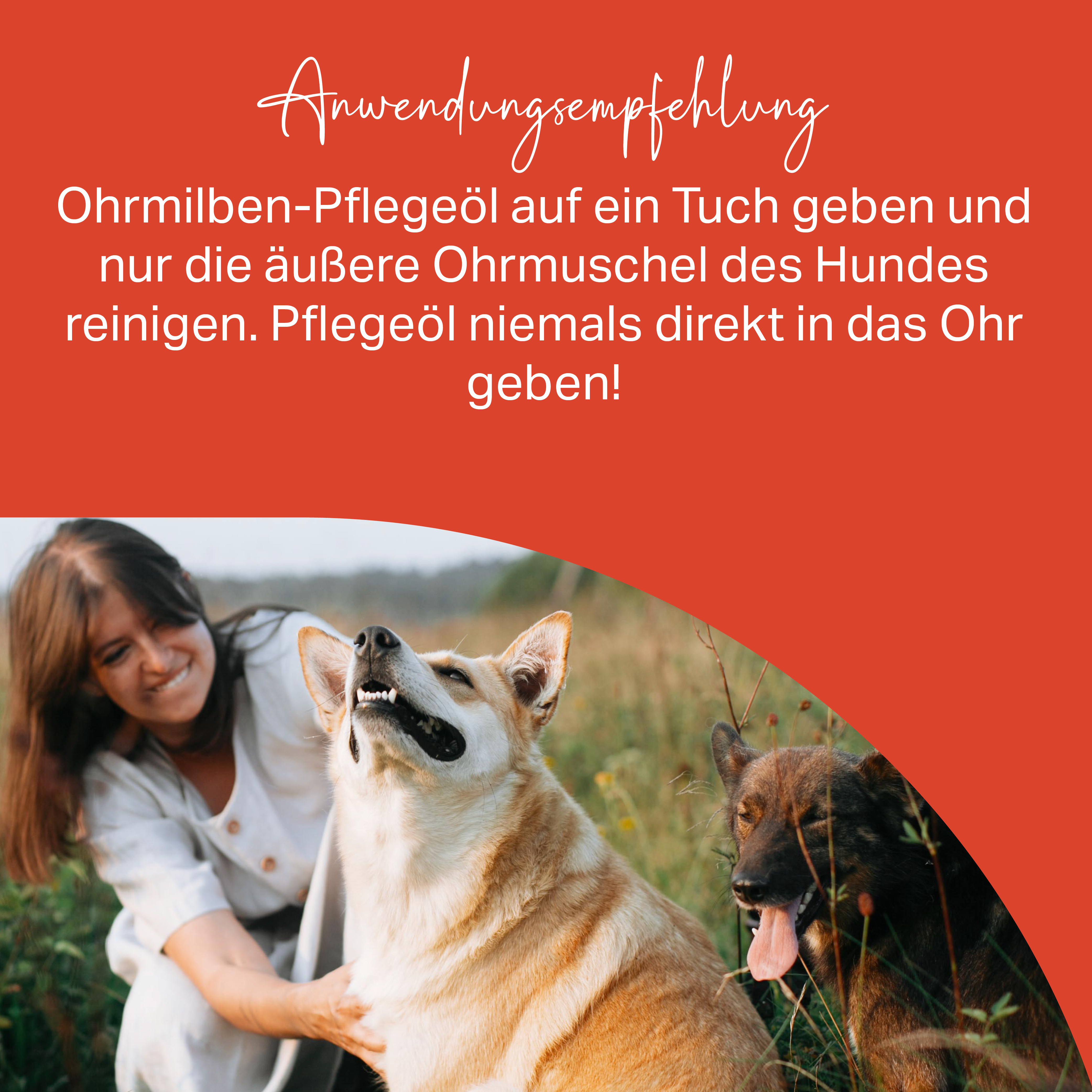 Ohrmilben-Pflegeöl zur äußeren Reinigung der Ohrmuschel bei Hunden Ohrmilben-Pflegeöl zur äußeren Reinigung der Ohrmuschel bei Hunden