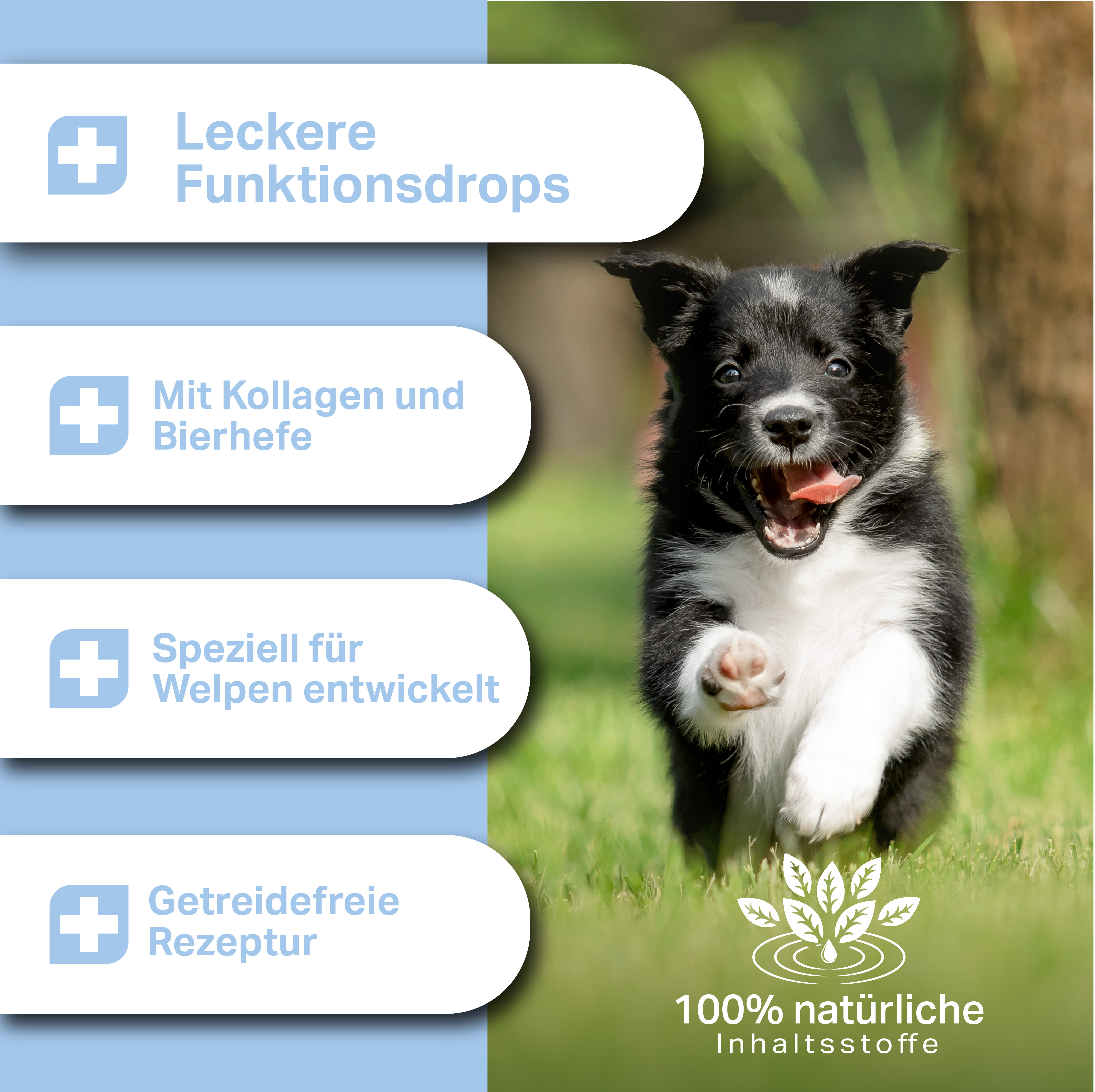 Leckere Funktionsdrops mit Kollagen und Bierhefe speziell für Welpen Leckere Funktionsdrops mit Kollagen und Bierhefe speziell für Welpen
