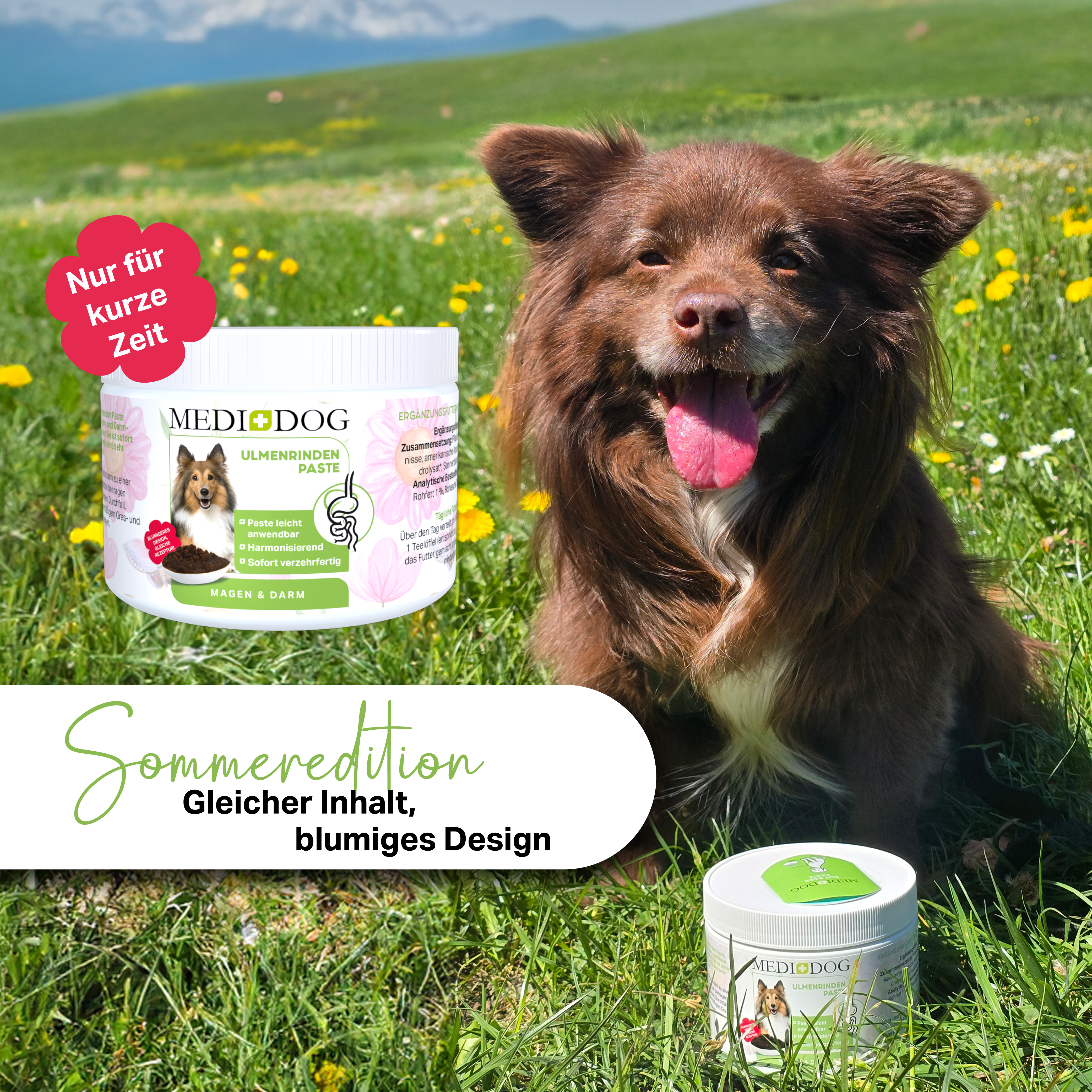 MEDIDOG Ulmenrinden Paste Sommeredition MEDIDOG Ulmenrinden Paste Sommeredition