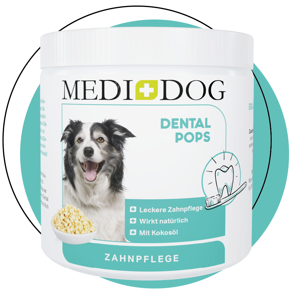 MEDIDOG Dental Pops für Hunde zur Unterstützung der Maulhygiene MEDIDOG Dental Pops für Hunde zur Unterstützung der Maulhygiene