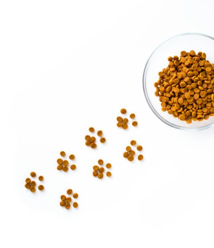 Futterzusätze mit Kräuterextrakten, speziellen funktionalen Ölen wie Kokos- oder Schwarzkümmelöl, und mit anderen natürlichen und hochwertigen Nährstoffen Futterzusätze mit Kräuterextrakten, speziellen funktionalen Ölen wie Kokos- oder Schwarzkümmelöl, und mit anderen natürlichen und hochwertigen Nährstoffen