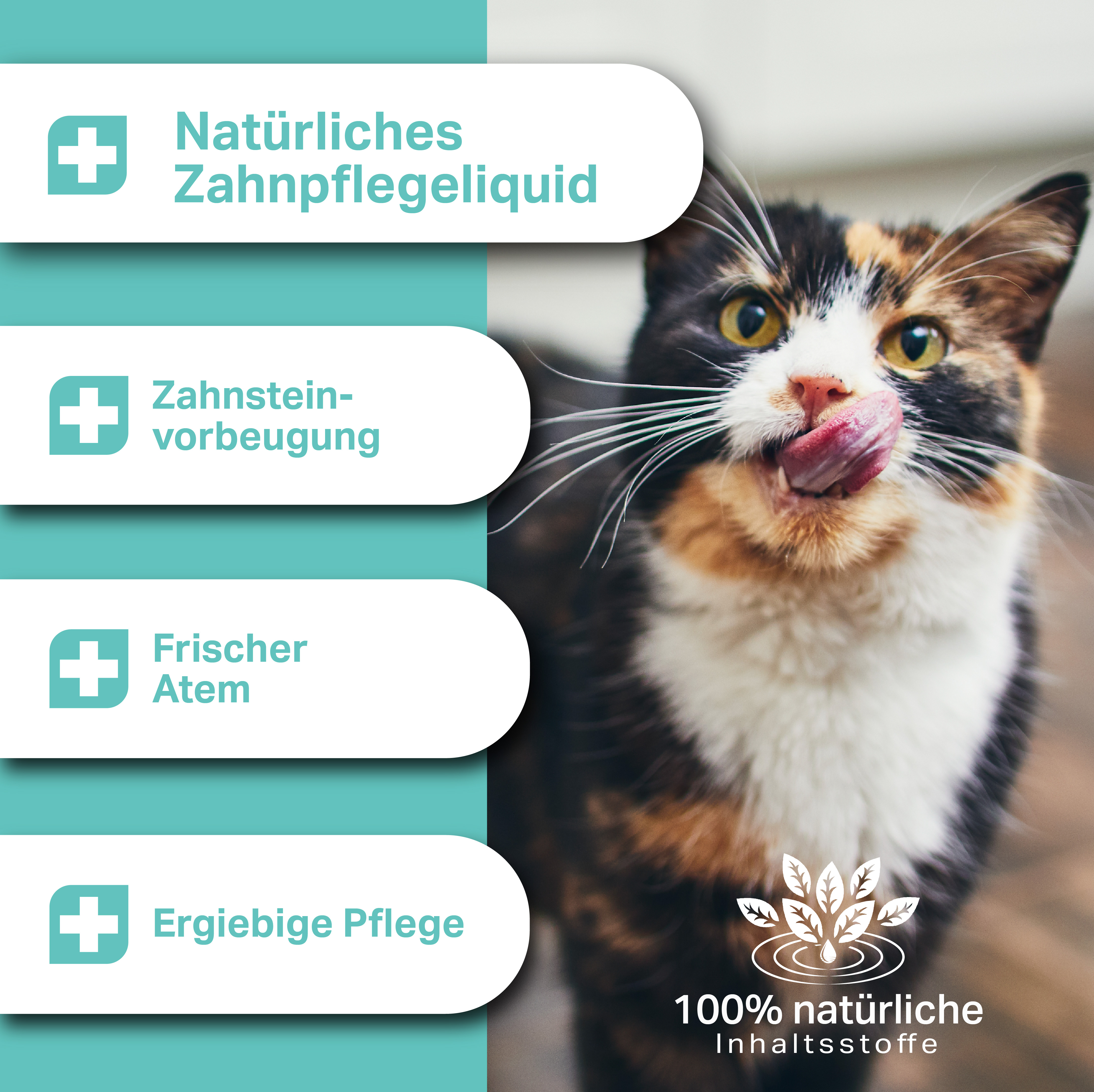Natürliches Zahnpflegeliquid zur Zahnsteinvorbeugung und frischen Atem bei Katzen Natürliches Zahnpflegeliquid zur Zahnsteinvorbeugung und frischen Atem bei Katzen