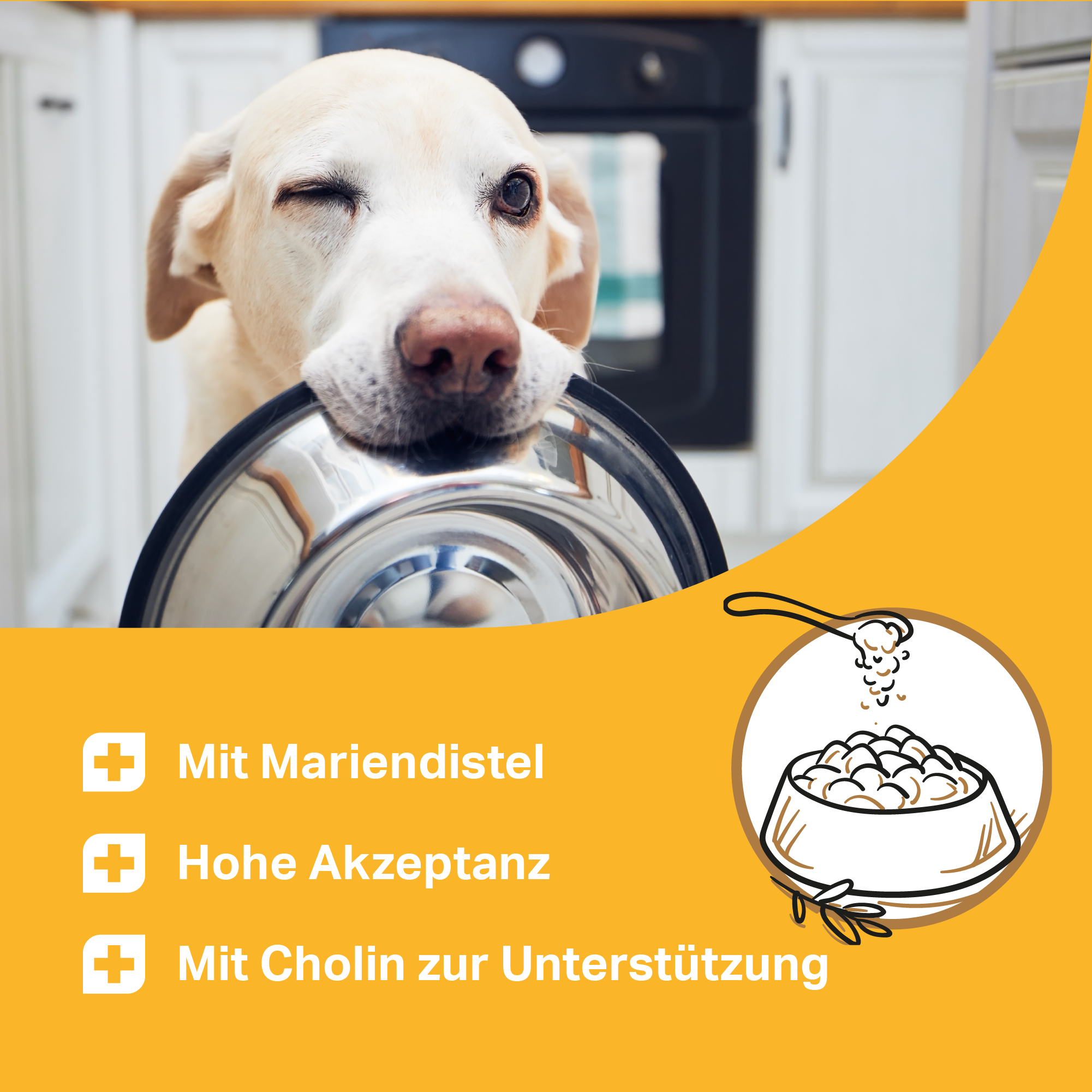 Futterzusatz mit Cholin und Mariendistel für Hunde Futterzusatz mit Cholin und Mariendistel für Hunde