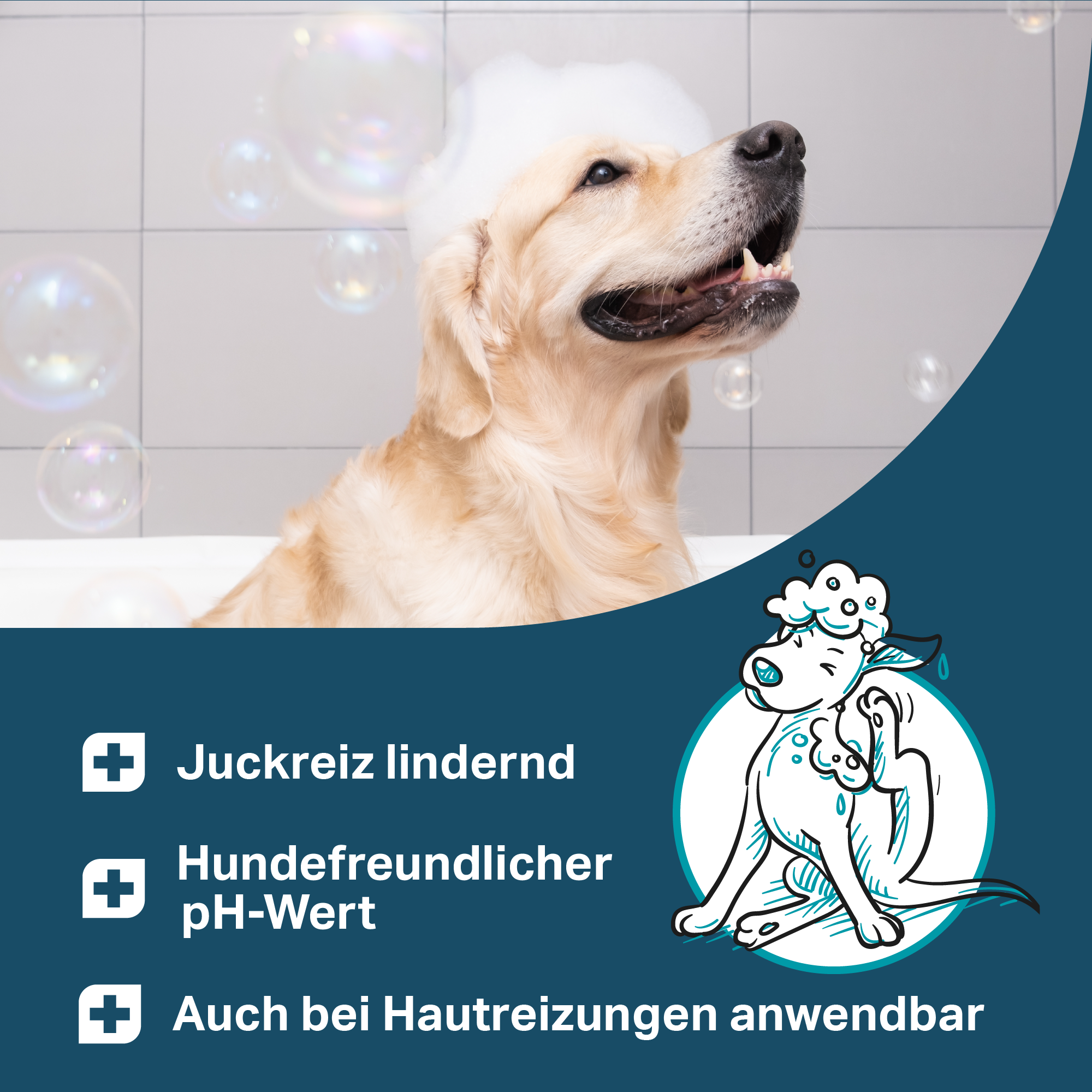 Hundeshampoo sensitiv ohne Tenside bei Juckreiz und empfindlicher Haut Hundeshampoo sensitiv ohne Tenside bei Juckreiz und empfindlicher Haut