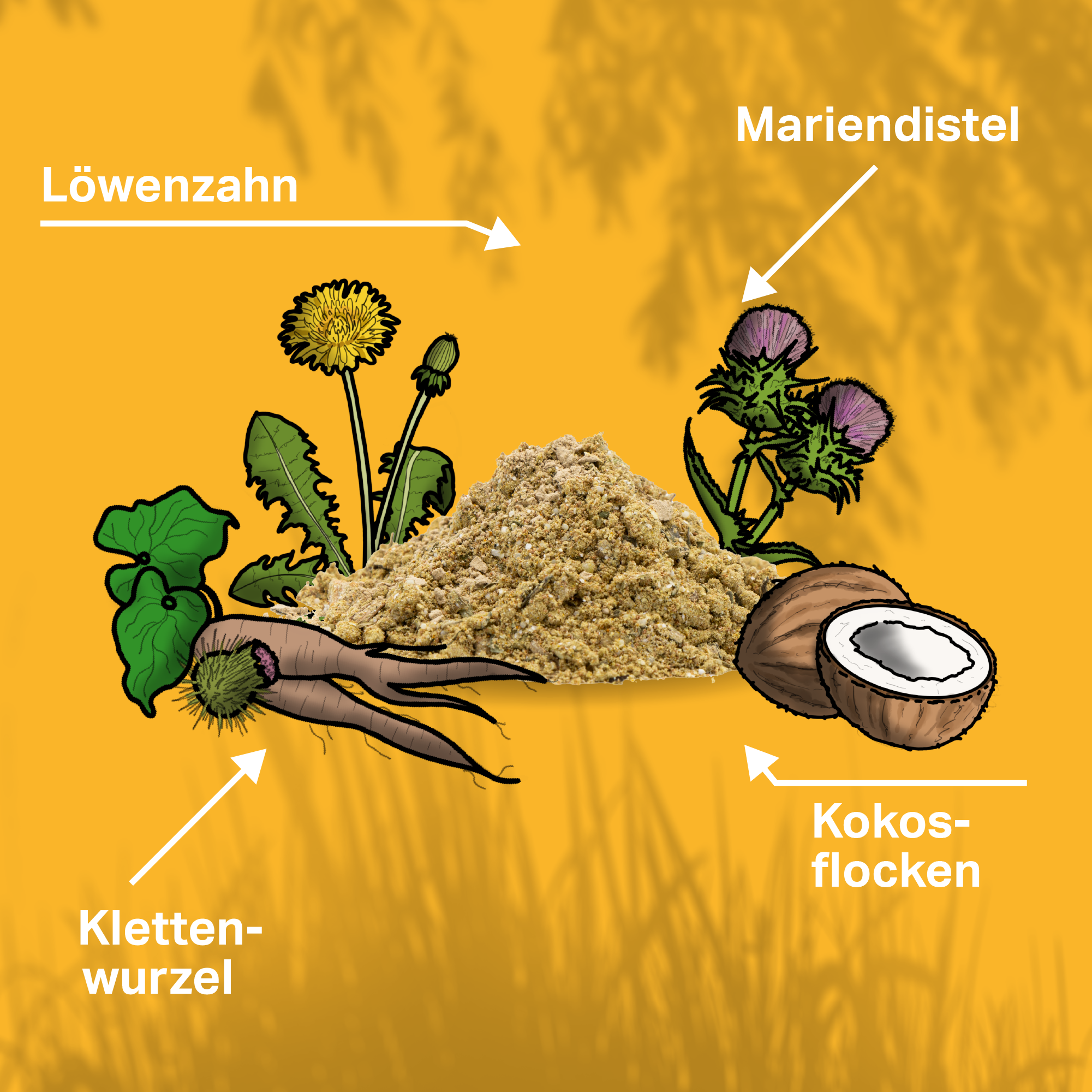Löwenzahn, Mariendistel und Klettenwurzel als natürliche Ergänzung für Hunde Löwenzahn, Mariendistel und Klettenwurzel als natürliche Ergänzung für Hunde