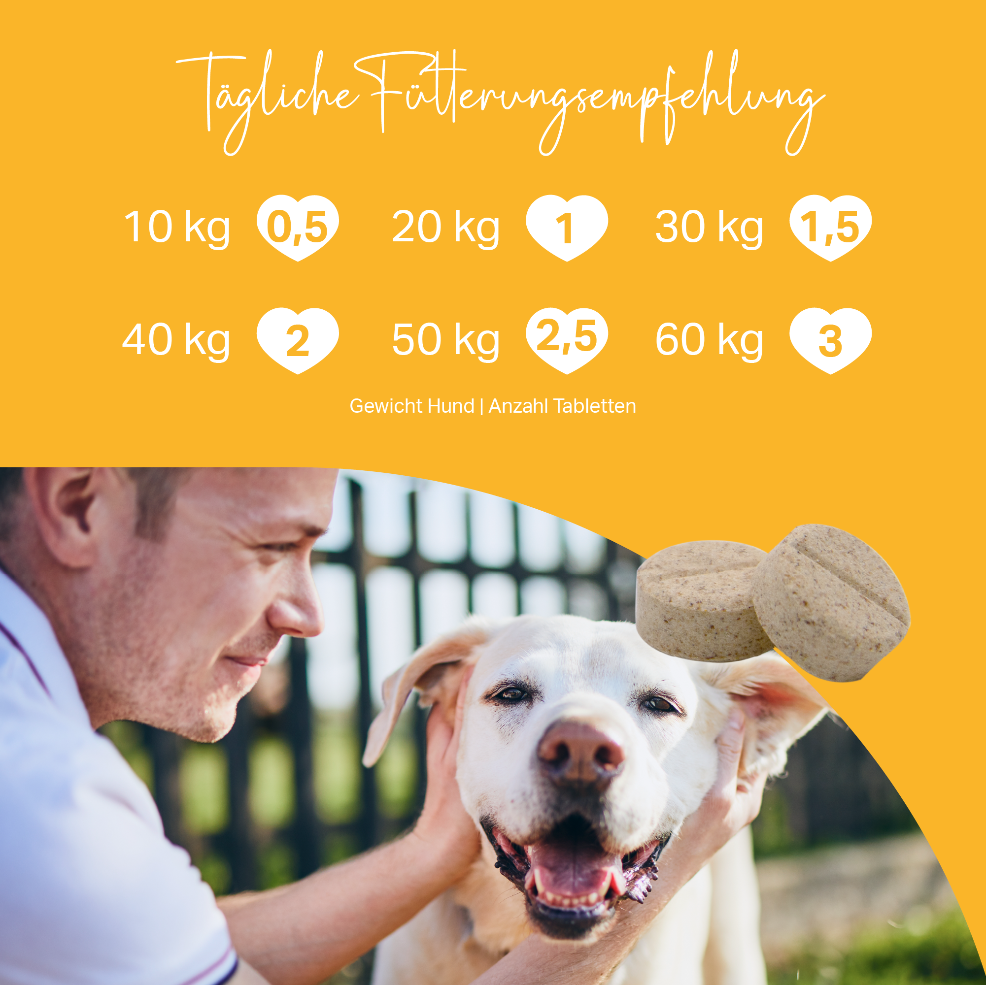 Besonders ergiebige Tabletten mit Vitamin B Komplex für Hunde, nur 1/2 Tablette am Tag je 10 kg Körpergewicht Besonders ergiebige Tabletten mit Vitamin B Komplex für Hunde, nur 1/2 Tablette am Tag je 10 kg Körpergewicht