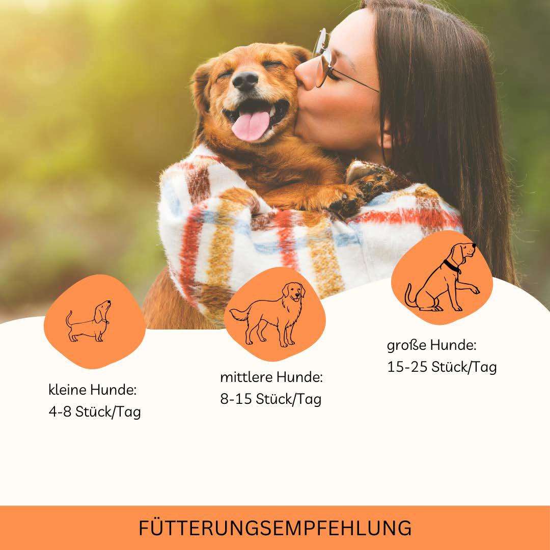 Frau umarmt glücklichen Hund; darunter Icons mit Fütterungsempfehlungen: kleine Hunde 4–8 Stück/Tag, mittlere 8–15 Stück/Tag, große 15–25 Stück/Tag.