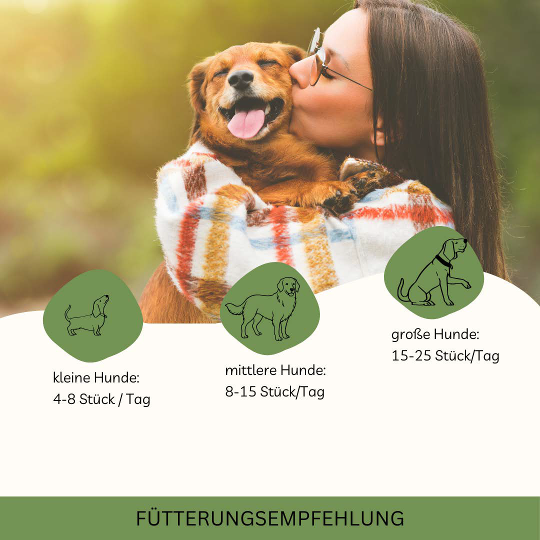 Fütterungsempfehlung: Frau umarmt Hund; Icons mit Portionsempfehlungen — kleine 4–8, mittlere 8–15, große 15–25 Stück/Tag.
