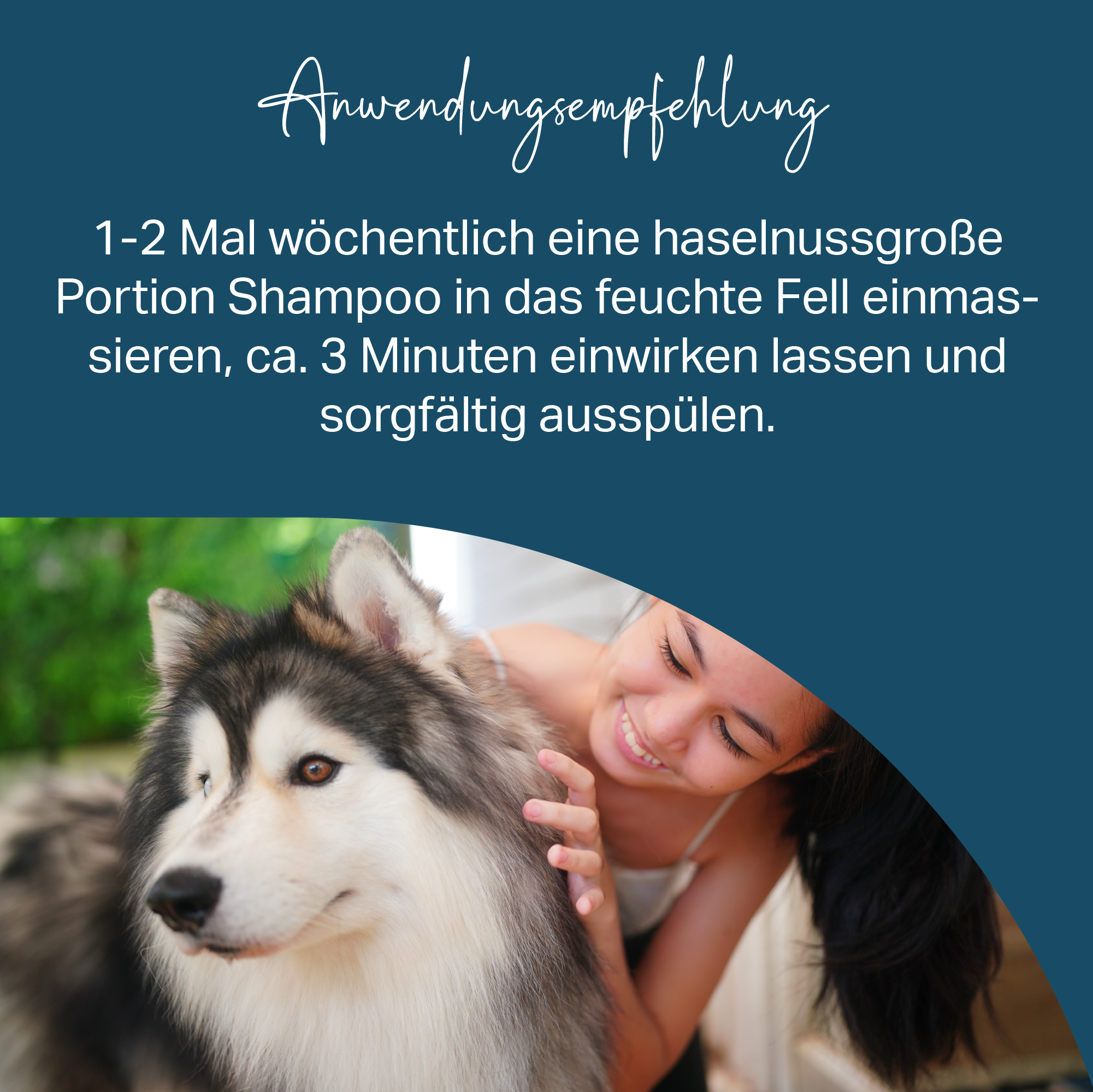 Allergikergeeignetes Hundeshampoo, sehr ergiebig, zur sanften Reinigung von Hundefell Allergikergeeignetes Hundeshampoo, sehr ergiebig, zur sanften Reinigung von Hundefell