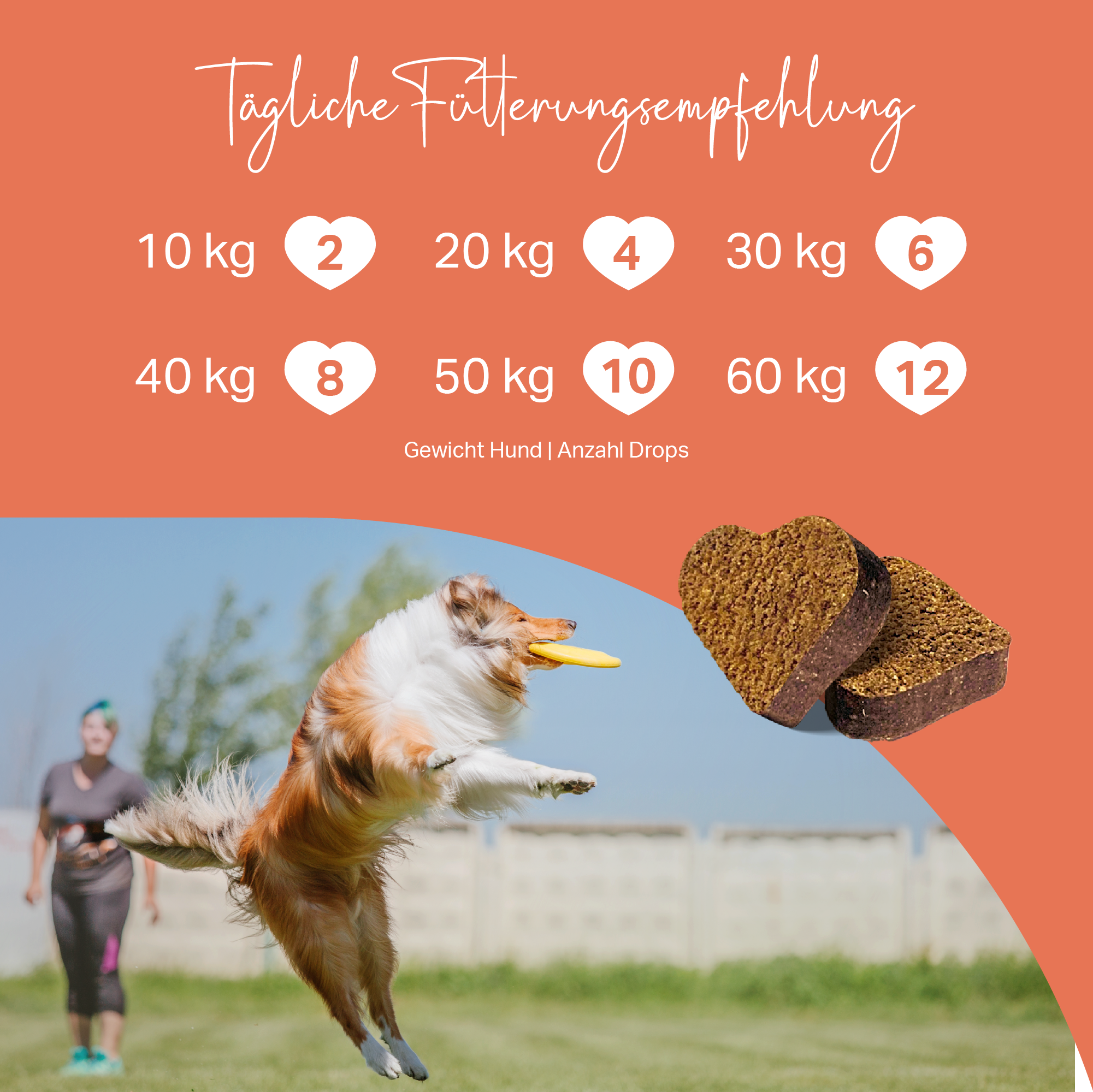 Ergiebige Ergänzung für Hunde, nur 2 Drops je 10 kg Körpergewicht täglich Ergiebige Ergänzung für Hunde, nur 2 Drops je 10 kg Körpergewicht täglich