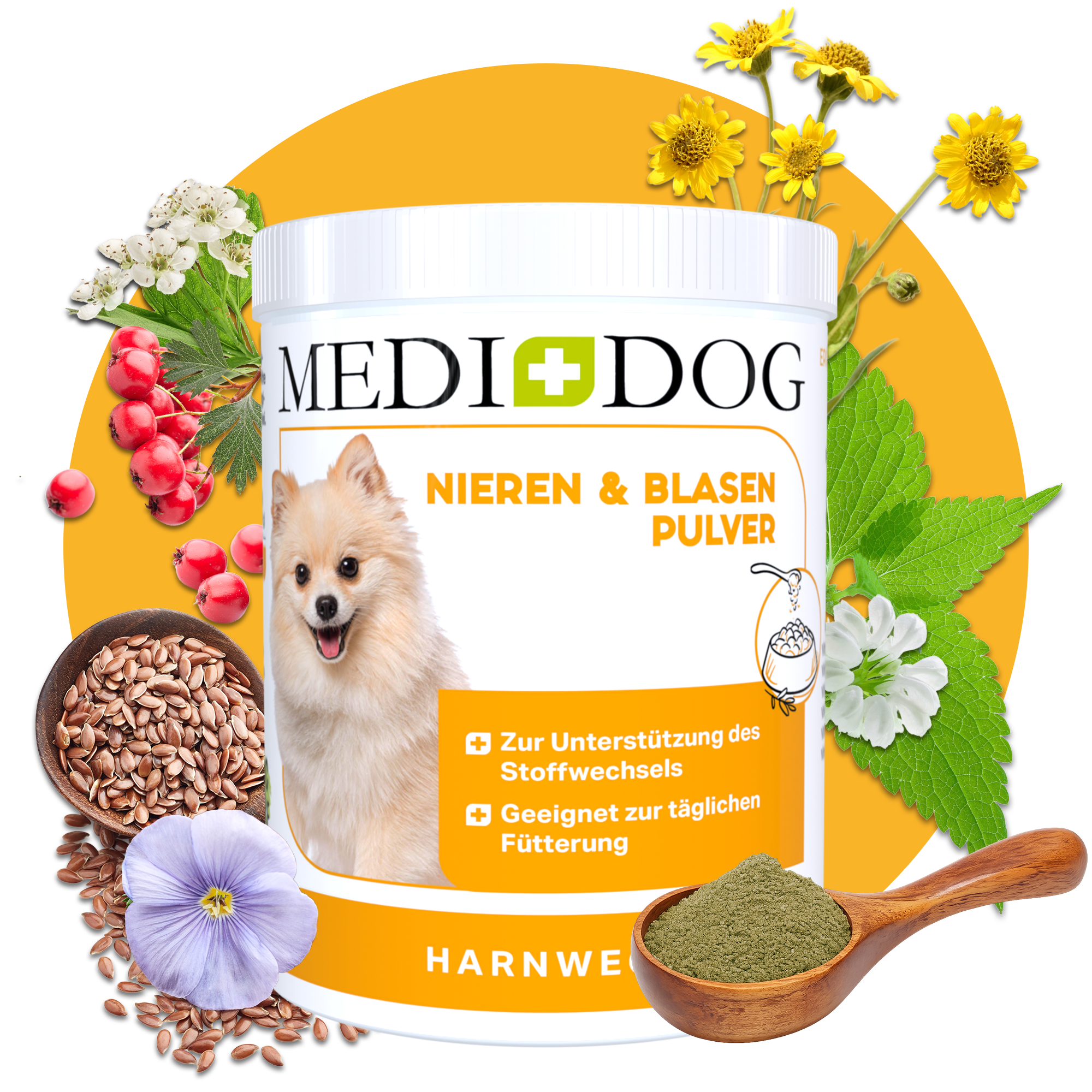 MEDIDOG Nieren & Blasen Pulver
