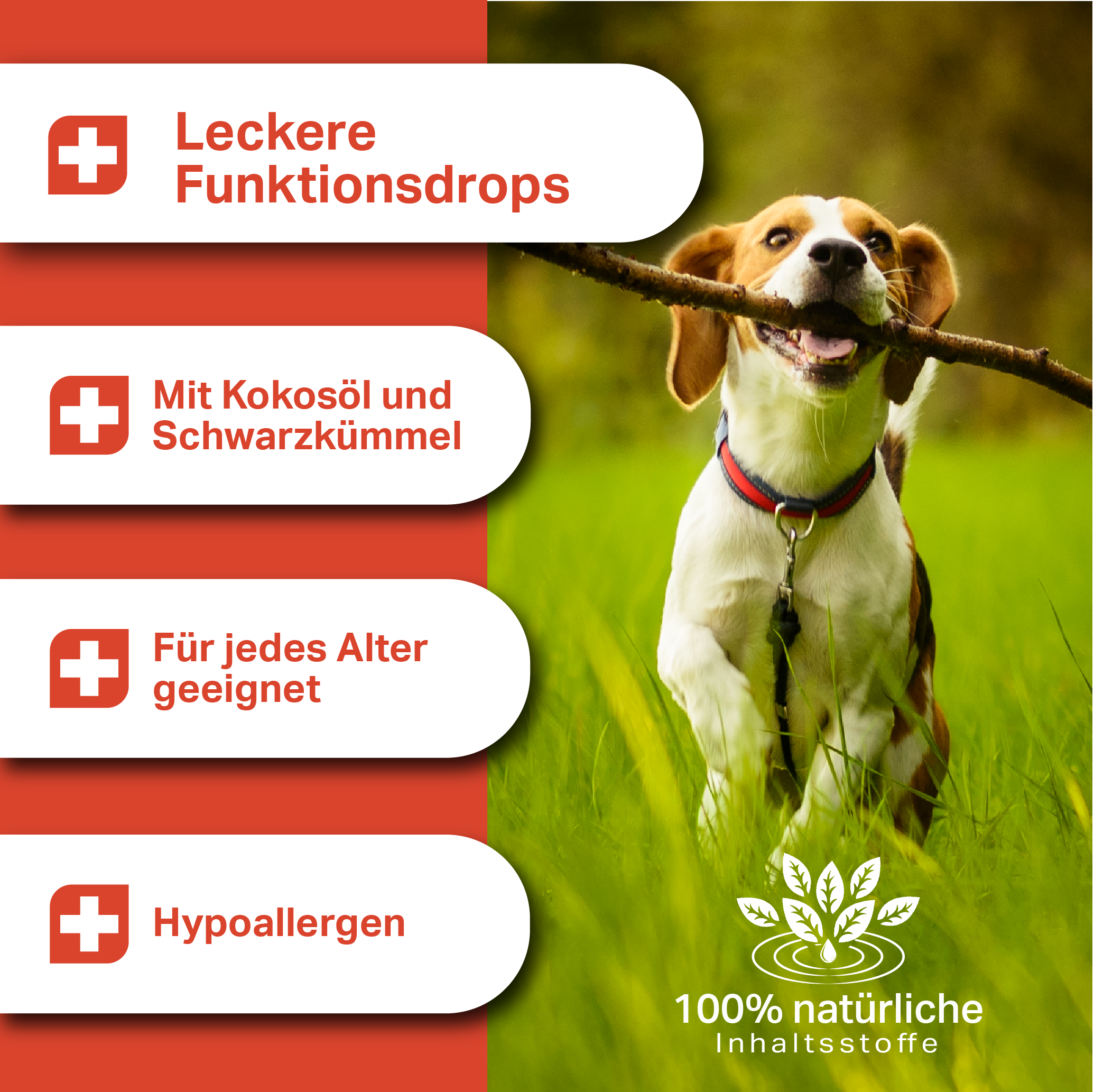 Leckere Funktionsdrops für Hunde jeden Alters, getreidefrei und kaltgepresst Leckere Funktionsdrops für Hunde jeden Alters, getreidefrei und kaltgepresst