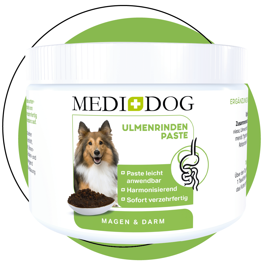 MEDIDOG Ulmenrinden Paste aus Amerikanischer Ulmenrinde - ohne Aufkochen MEDIDOG Ulmenrinden Paste aus Amerikanischer Ulmenrinde - ohne Aufkochen