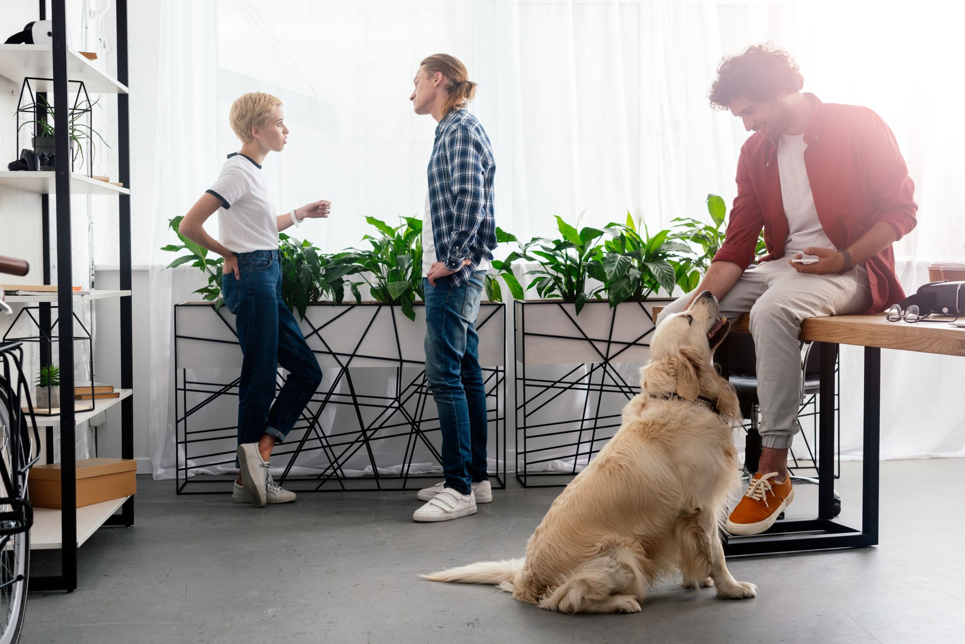 Warum Bürohunde den Arbeitsalltag leichter machen Warum Bürohunde den Arbeitsalltag leichter machen