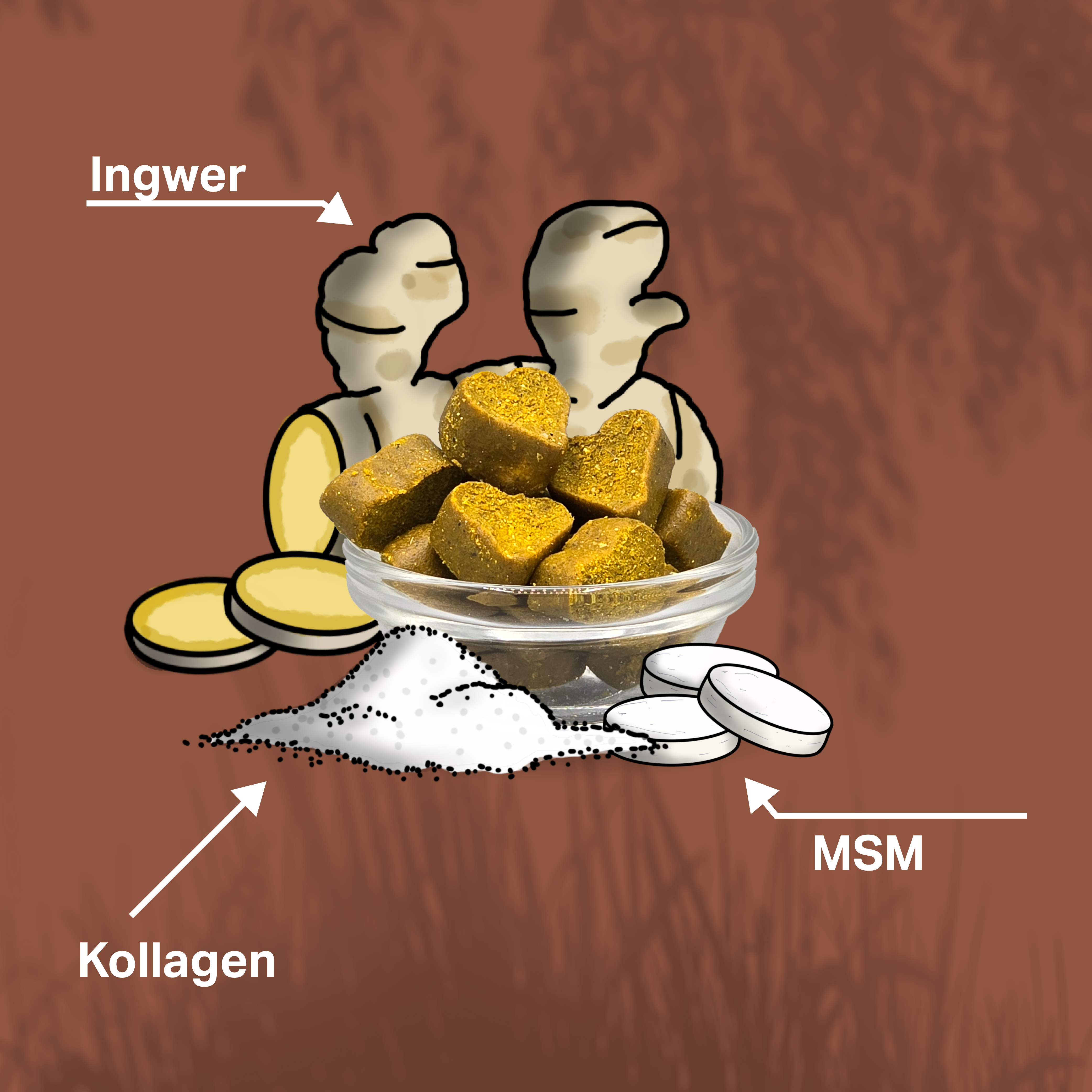 Ingwer, MSM und Kollagen als natürliche Unterstützung für Senioren-Hunde, besonders soft Ingwer, MSM und Kollagen als natürliche Unterstützung für Senioren-Hunde, besonders soft