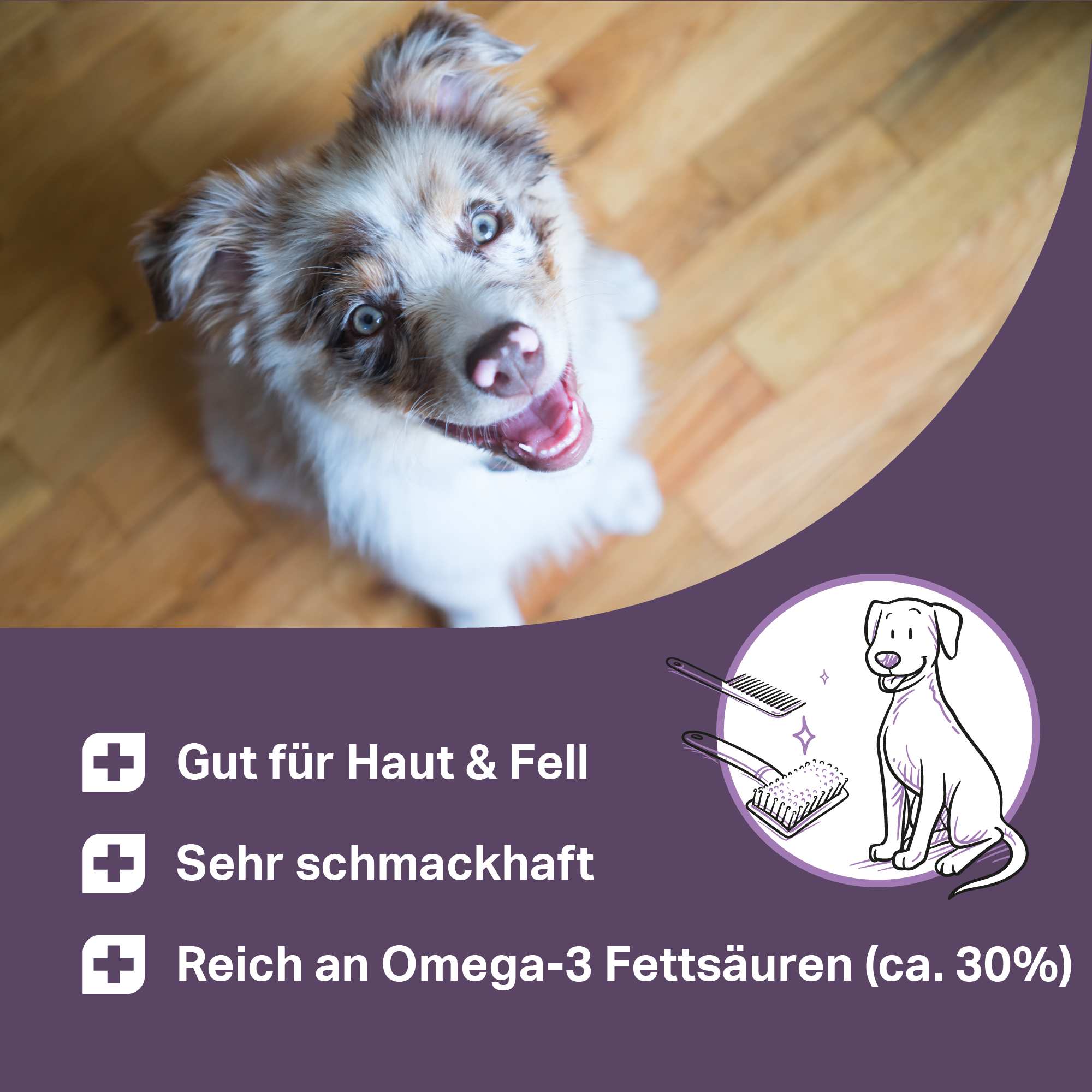 Lachsöl für Hunde zur Unterstützung von Haut & Fell, reich an Omega 3 Fettsäuren Lachsöl für Hunde zur Unterstützung von Haut & Fell, reich an Omega 3 Fettsäuren