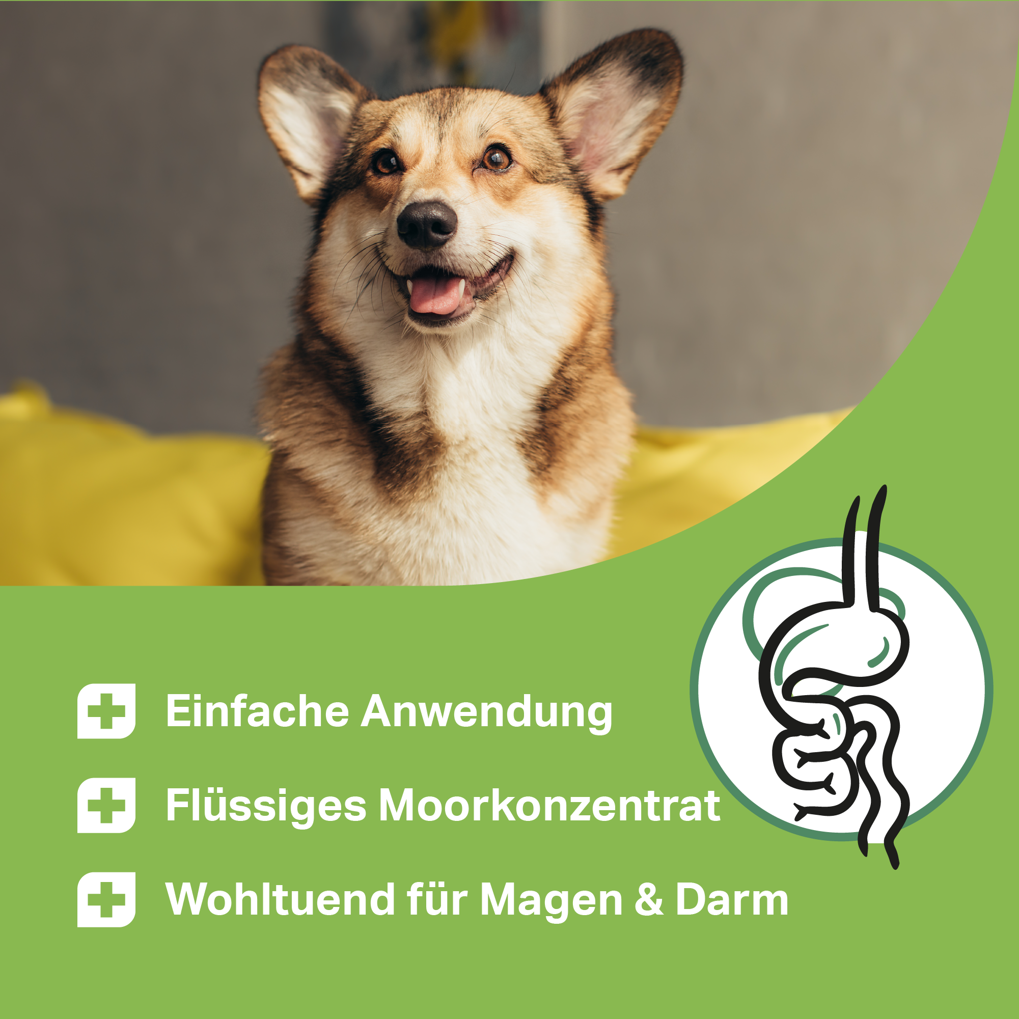 Flüssiges Moorkonzentrat für Hunde zur Unterstützung von Magen & Darm Flüssiges Moorkonzentrat für Hunde zur Unterstützung von Magen & Darm