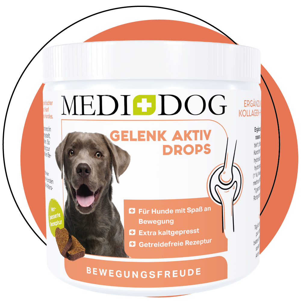 MEDIDOG Gelenk Aktiv Drops zur Unterstützung von Knochen und Gelenken bei Hunden MEDIDOG Gelenk Aktiv Drops zur Unterstützung von Knochen und Gelenken bei Hunden