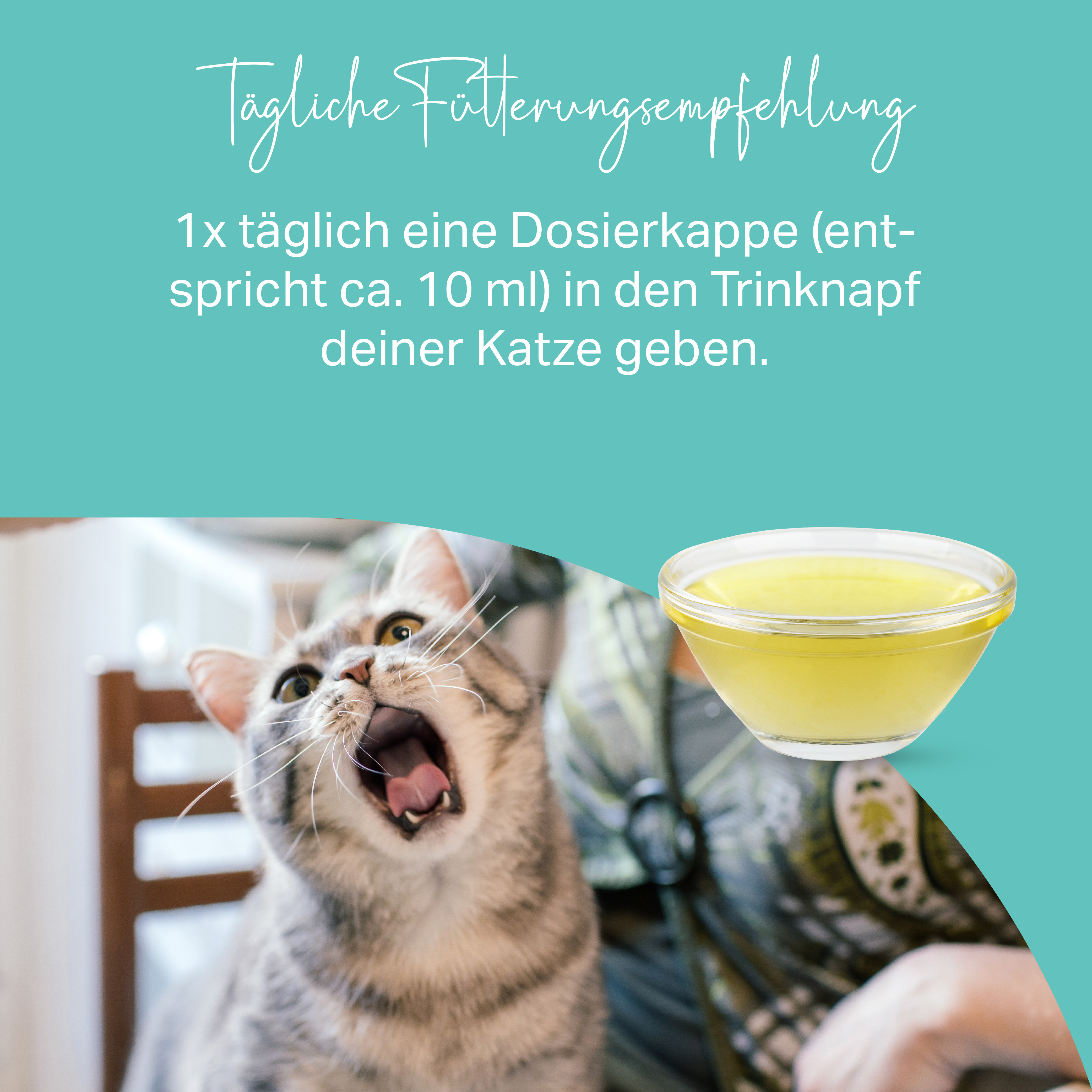 Trinkwasserzusatz zur Zahnpflege für Katzen Trinkwasserzusatz zur Zahnpflege für Katzen