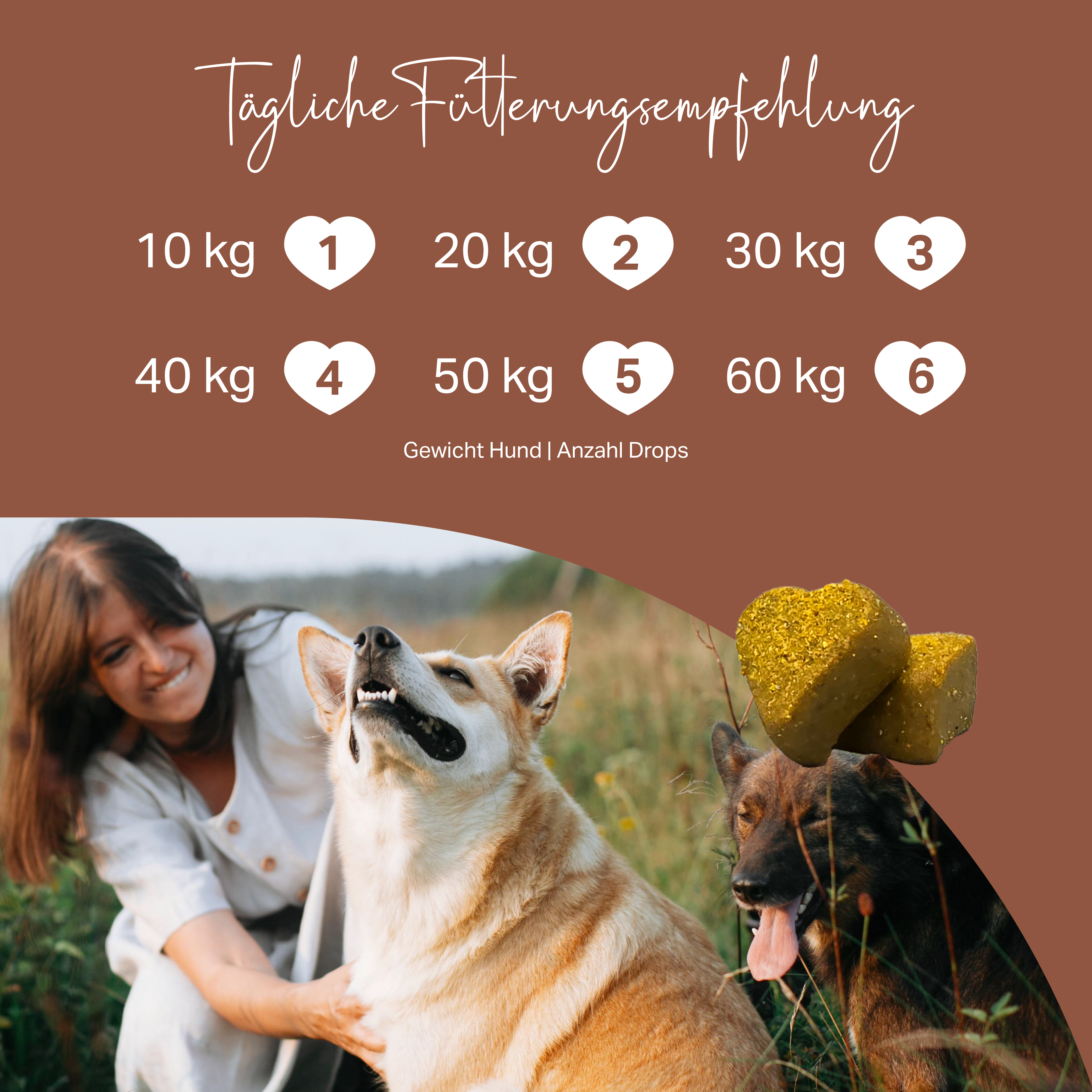Ergiebige Nahrungsergänzug für Senioren-Hunde, nur 1 Drop am Tag je 10 kg Körpergewicht Ergiebige Nahrungsergänzug für Senioren-Hunde, nur 1 Drop am Tag je 10 kg Körpergewicht